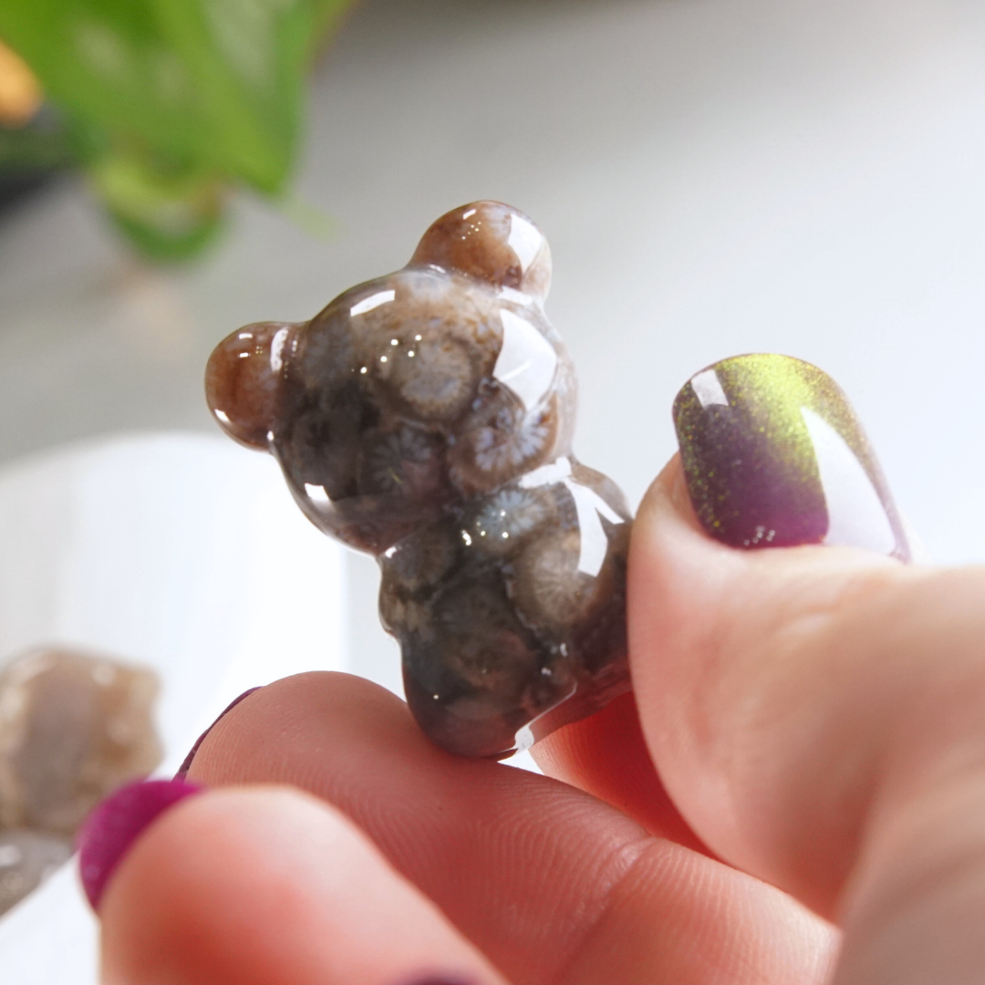 MINI Coral Jasper Teddy Bear Carving | Intuitively Chosen