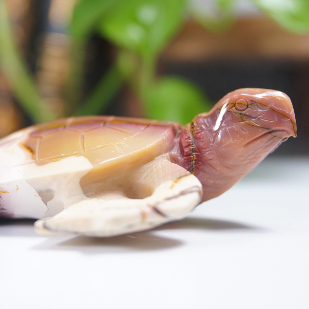 Mookaite Sea Turtle Boutique Carving (with Stand)