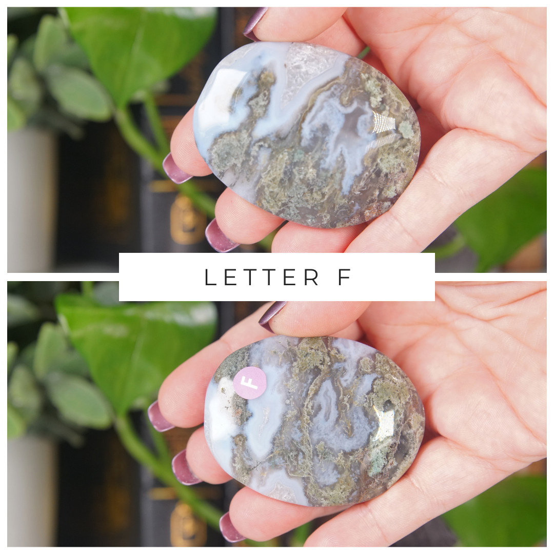 Moss Agate High Quality Palm Stones | Pick Your Favorite