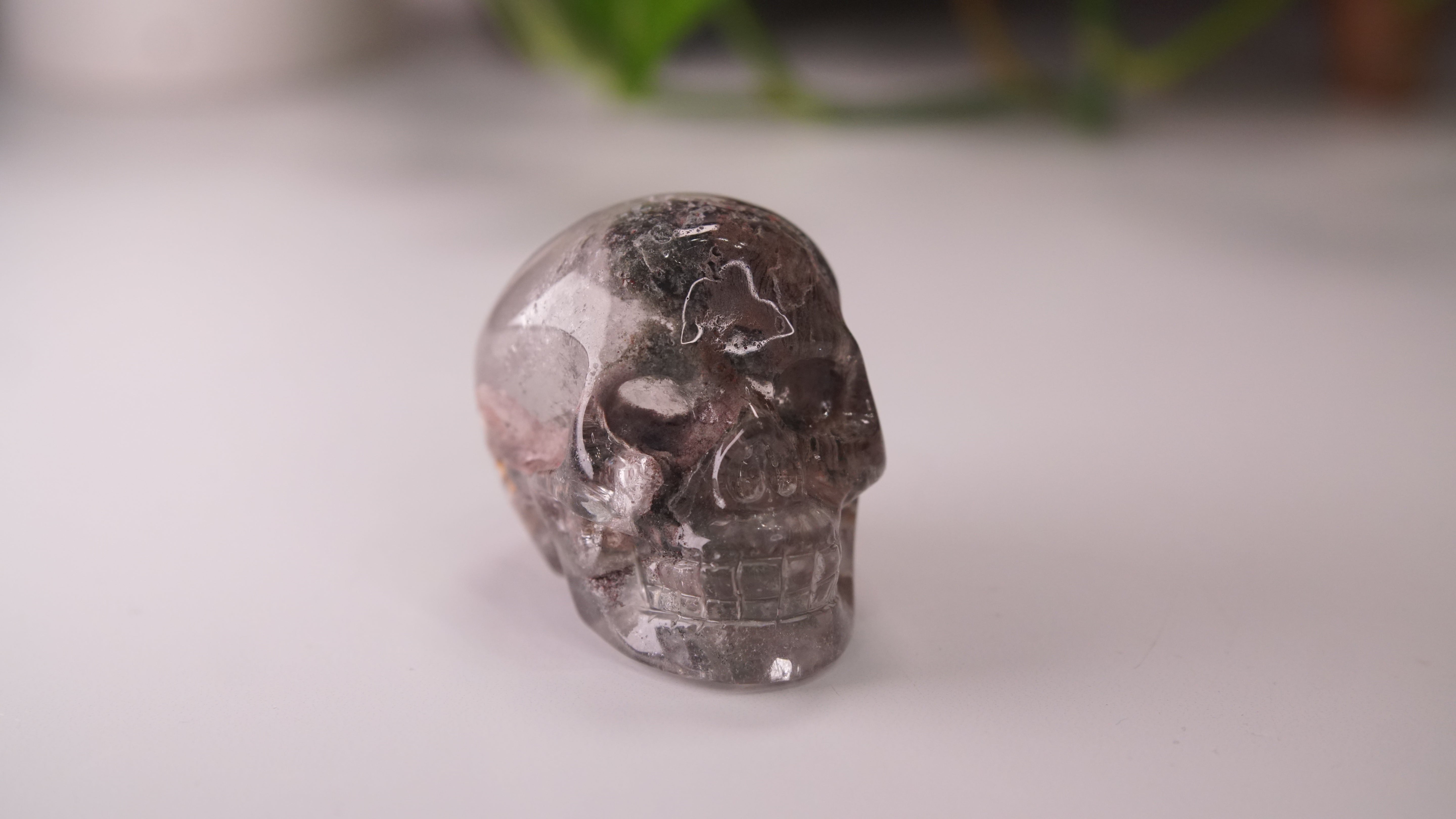 Garden Quartz Skulls Lodolite With Inclusions Crystal Carving (Large)