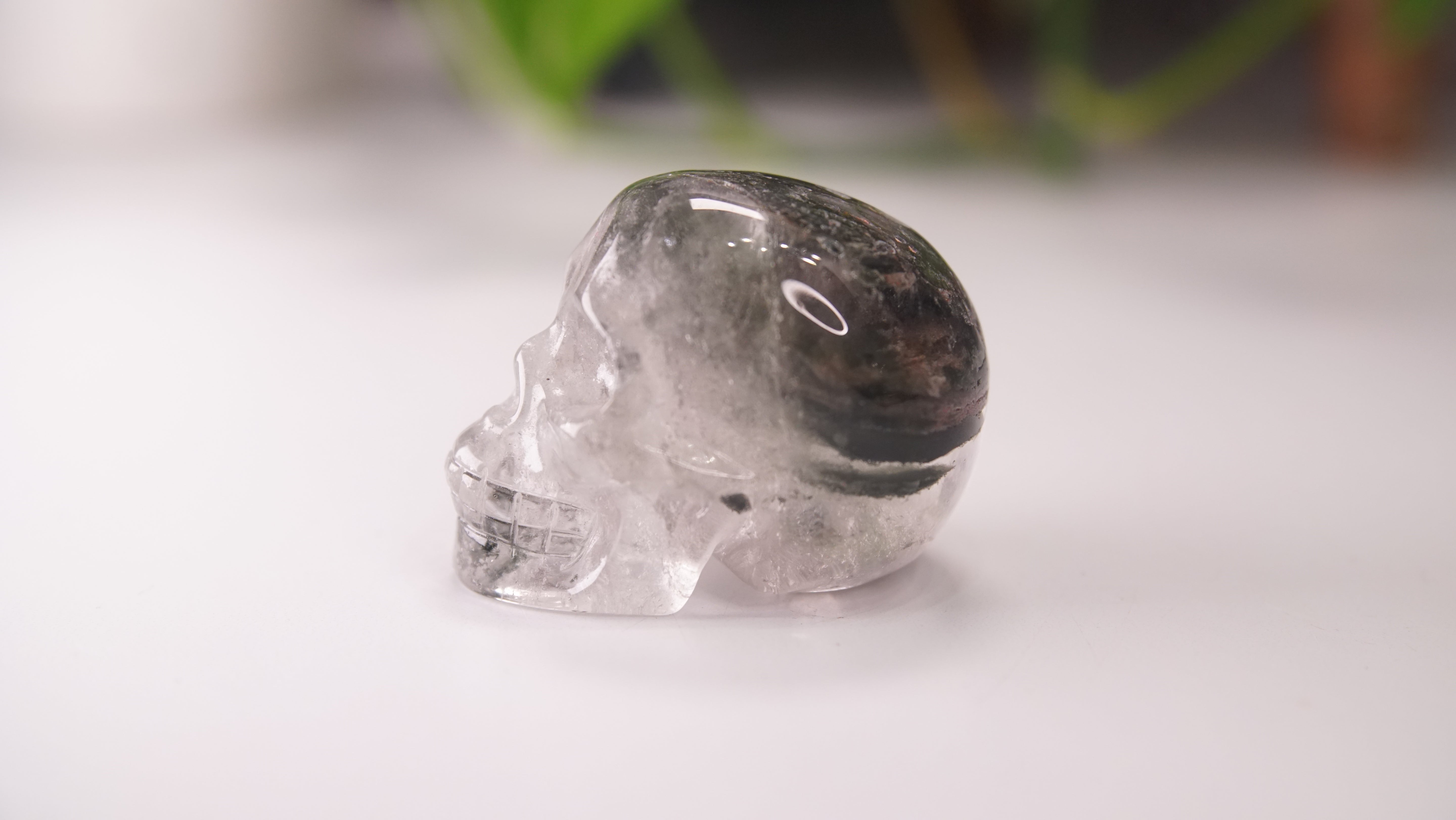 Garden Quartz Skulls Lodolite With Inclusions Crystal Carving (Large)