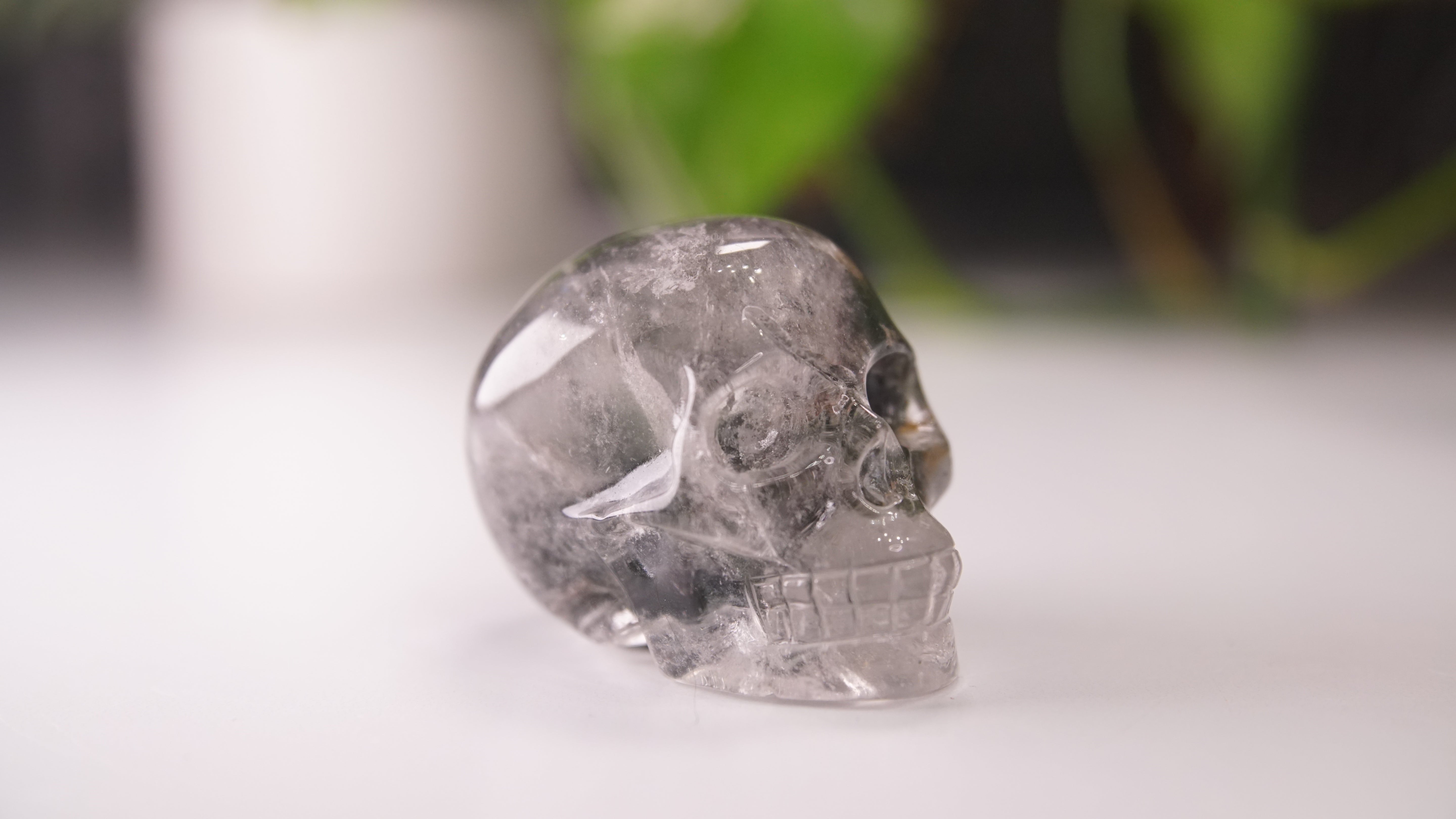 Garden Quartz Skulls Lodolite With Inclusions Crystal Carving (Large)