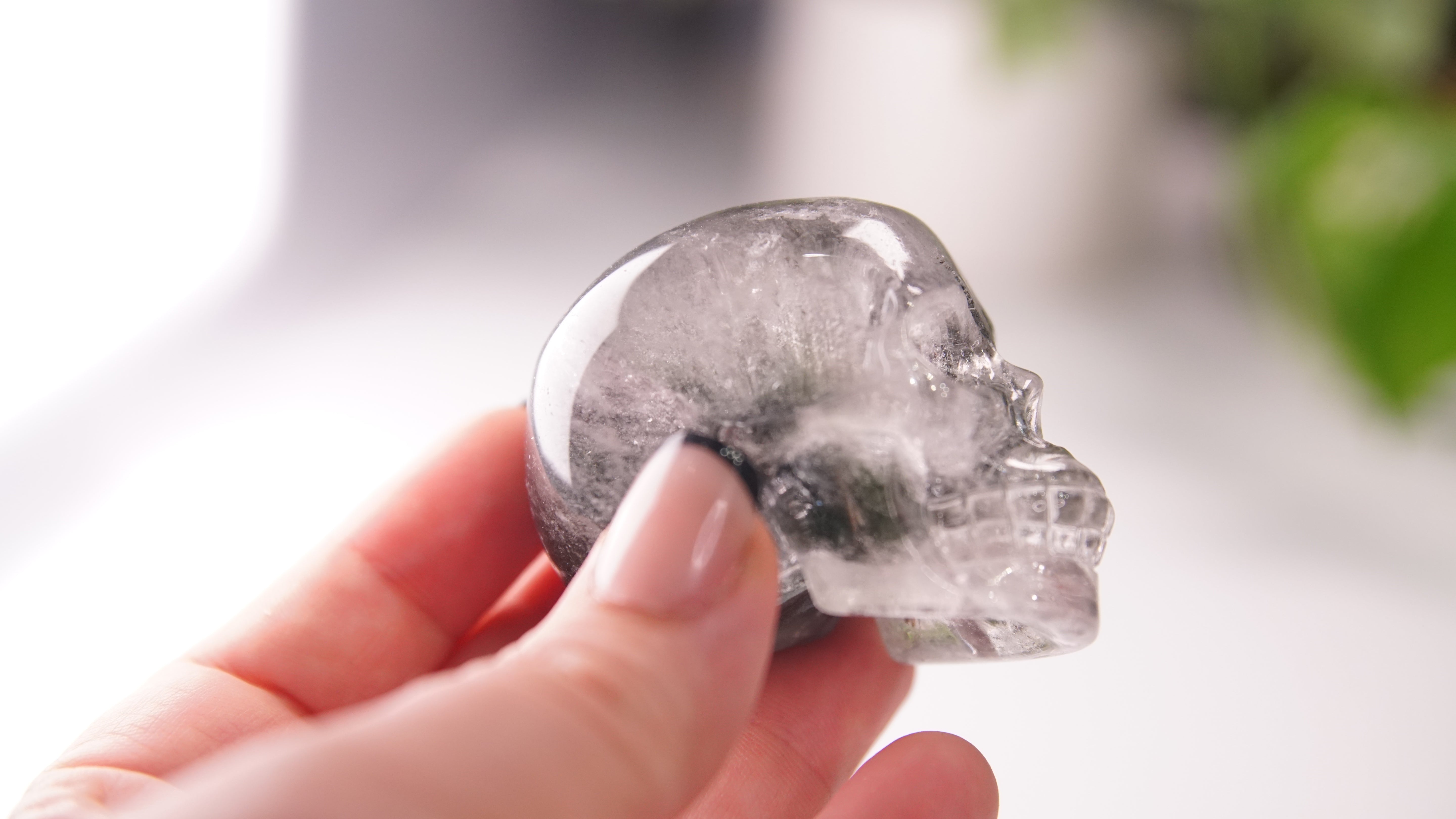 Garden Quartz Skulls Lodolite With Inclusions Crystal Carving (Large)