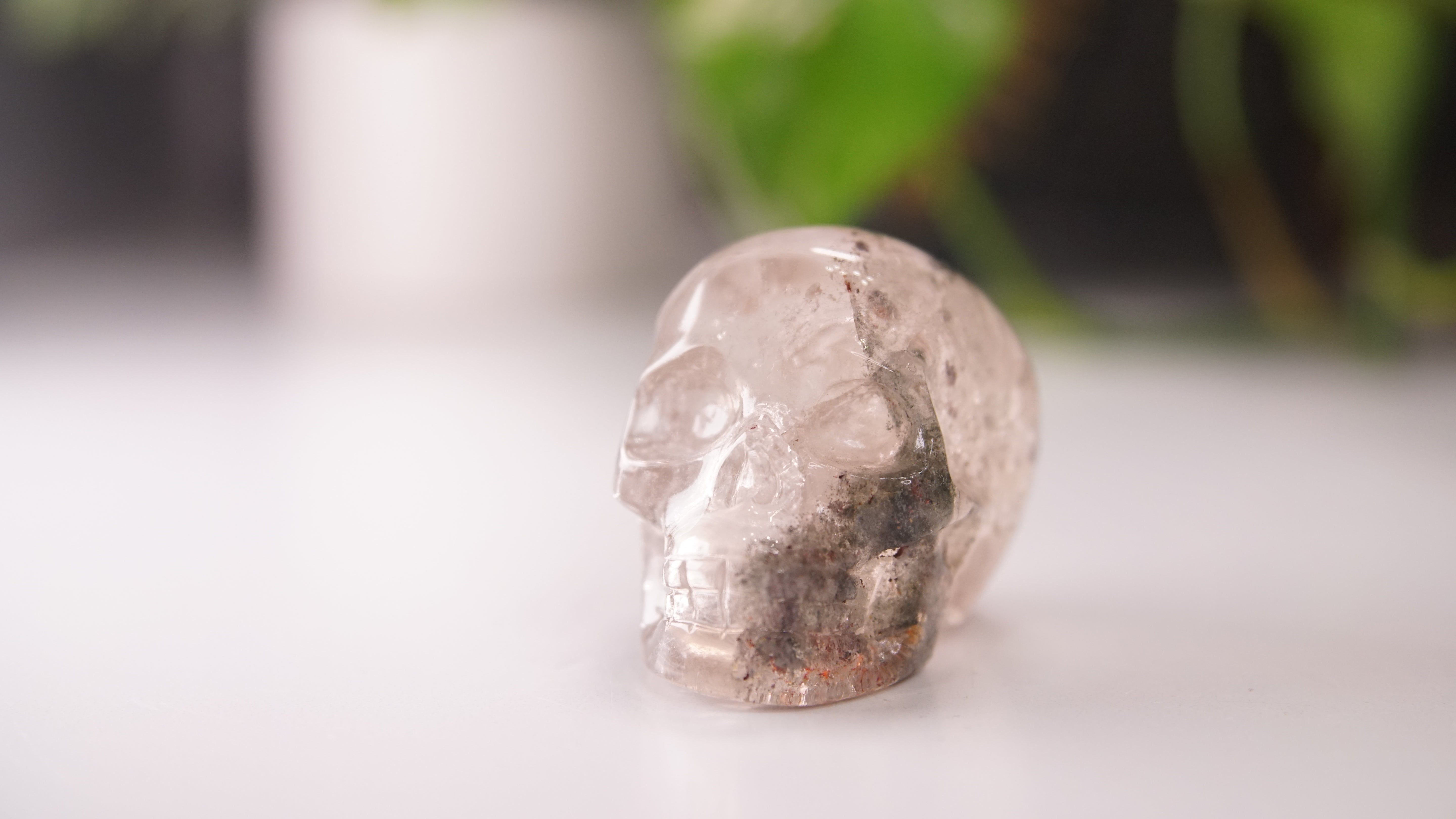 Garden Quartz Skulls Lodolite With Inclusions Crystal Carving (Large)