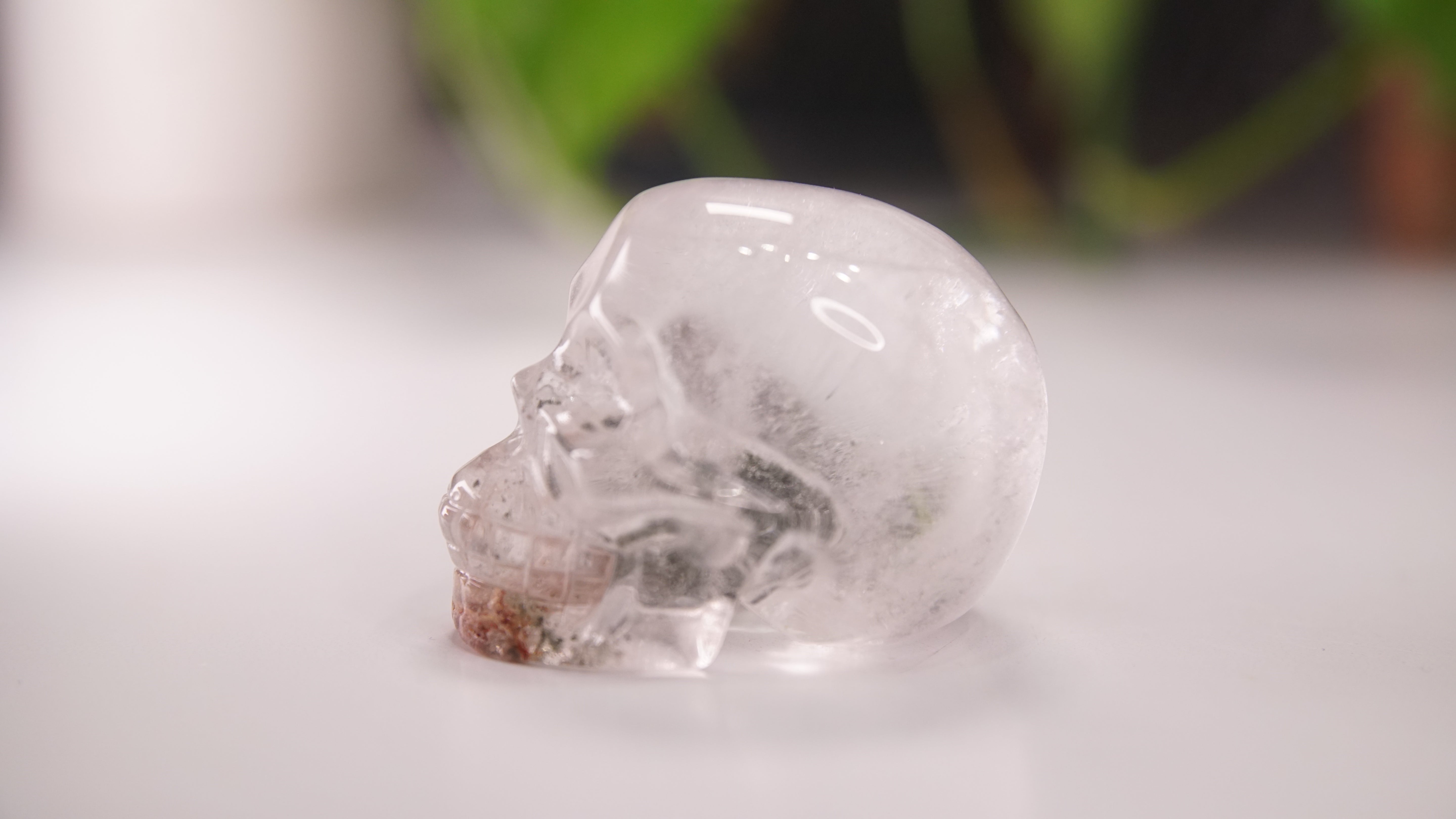 Garden Quartz Skulls Lodolite With Inclusions Crystal Carving (Large)
