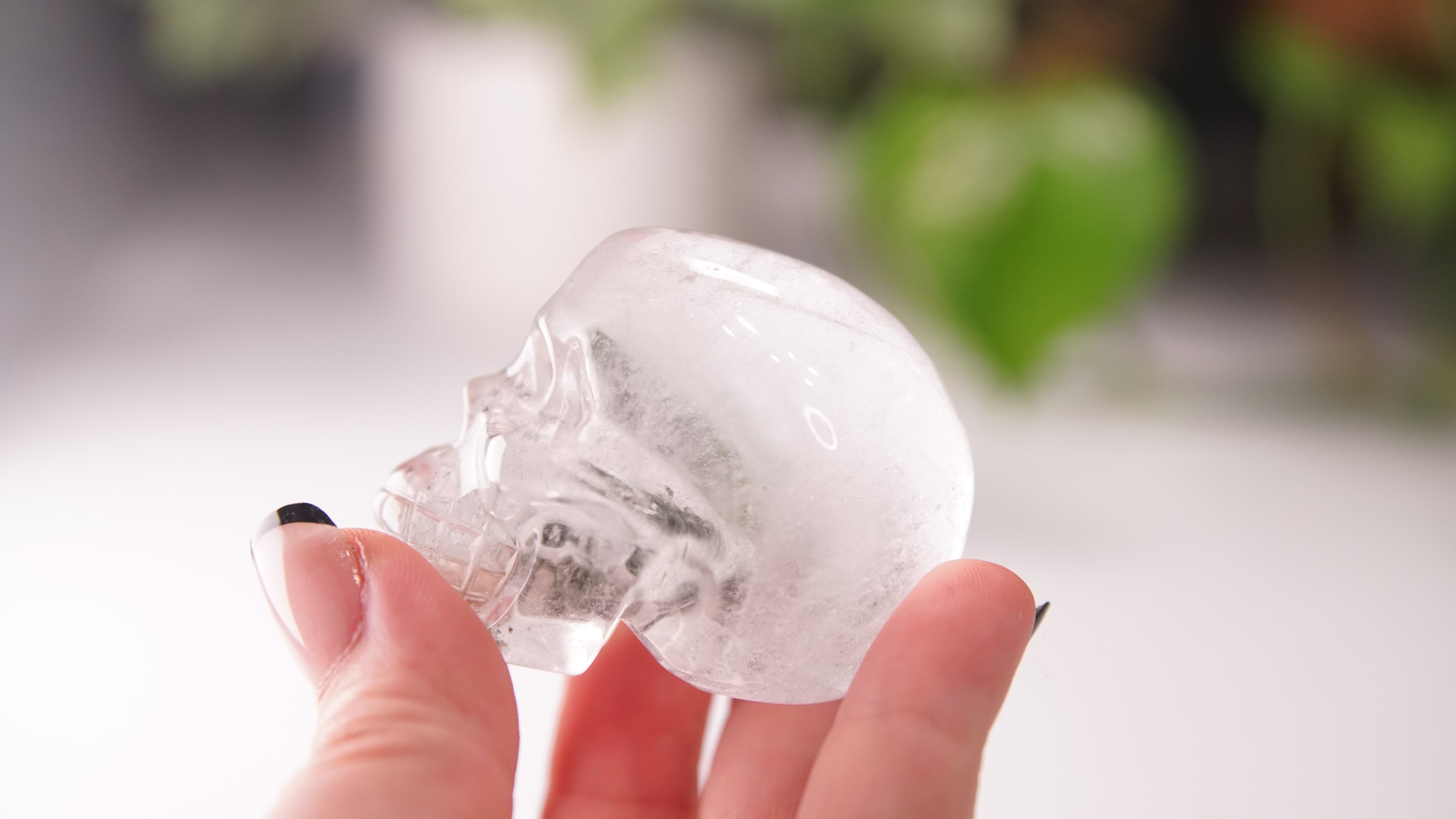 Garden Quartz Skulls Lodolite With Inclusions Crystal Carving (Large)