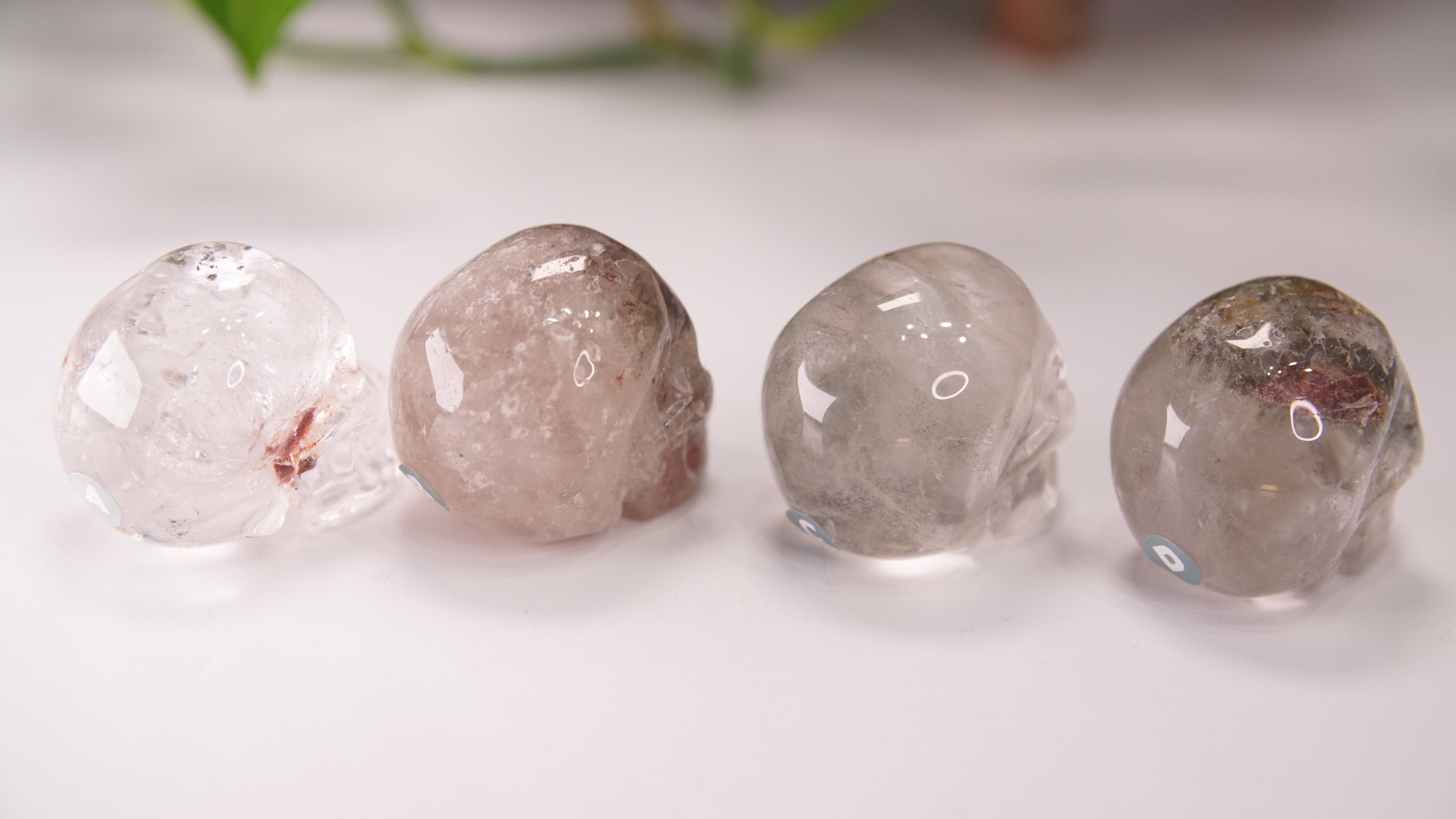 Garden Quartz Skulls Lodolite With Inclusions Crystal Carving (Medium)
