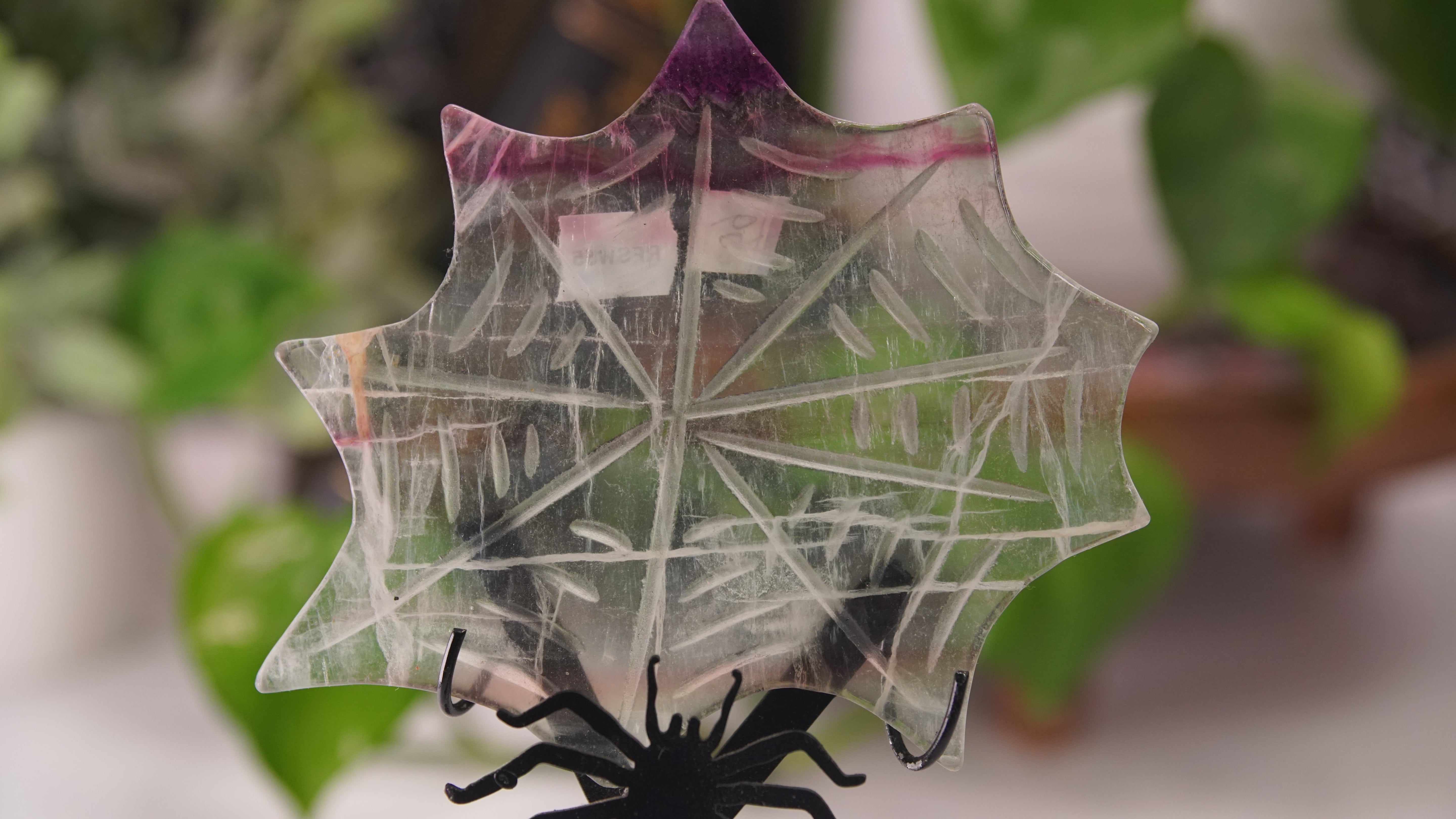 Fluorite Spider Web With FREE Spider Stand | Crystal Carving Sculpture