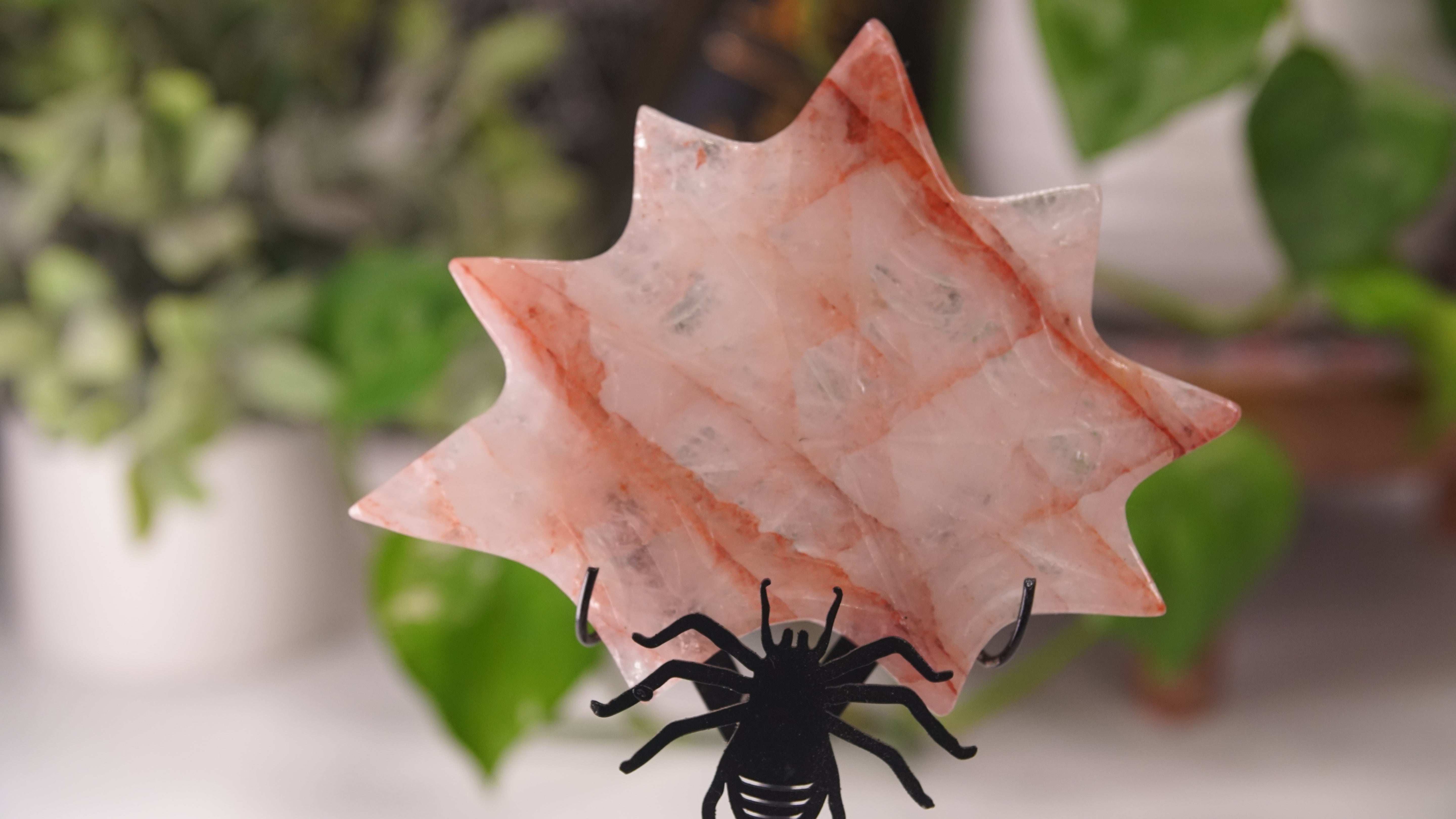 Fire Quartz Spider Web With FREE Spider Stand | Crystal Carving Sculpture