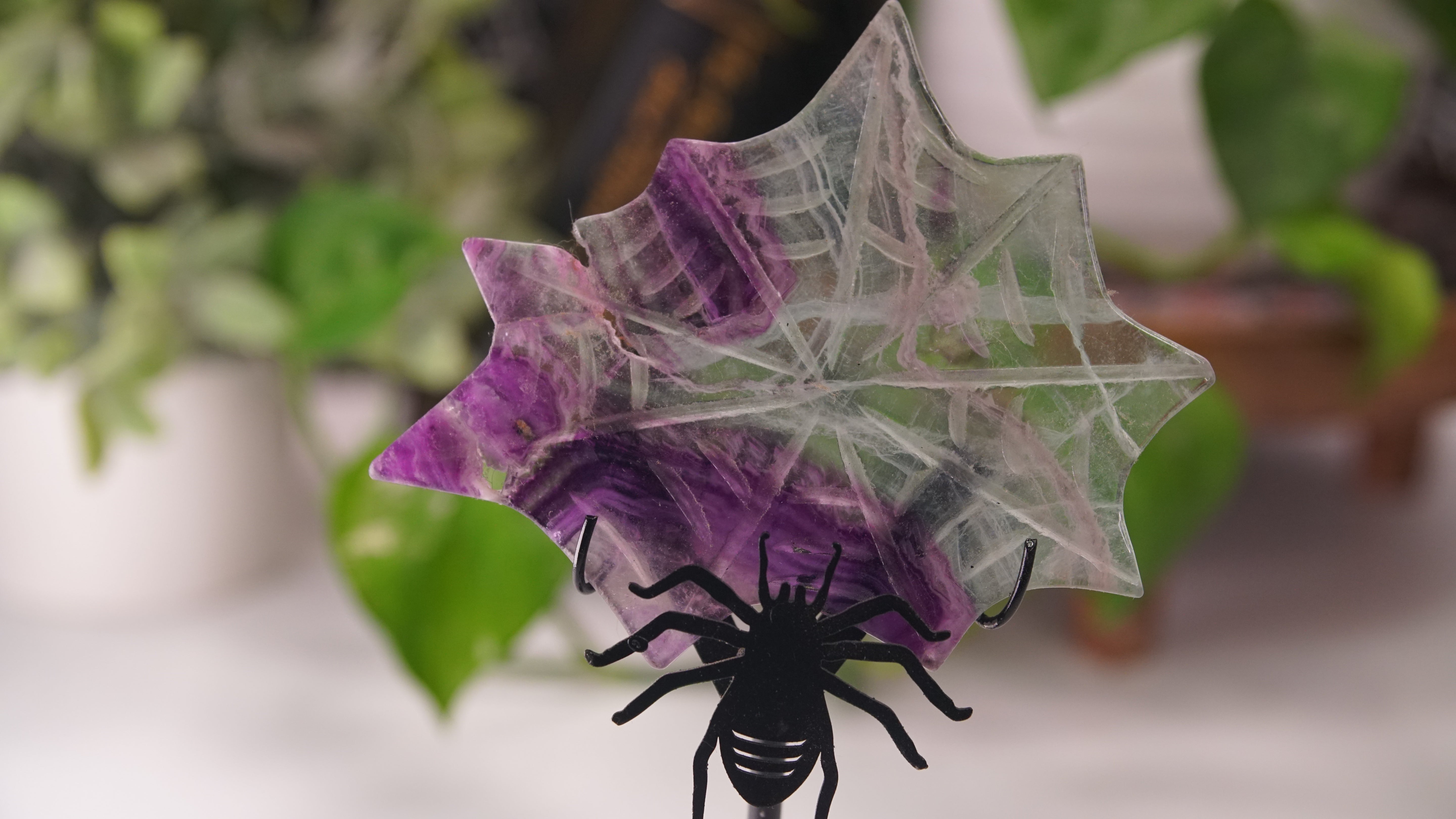 Fluorite Spider Web With FREE Spider Stand | Crystal Carving Sculpture