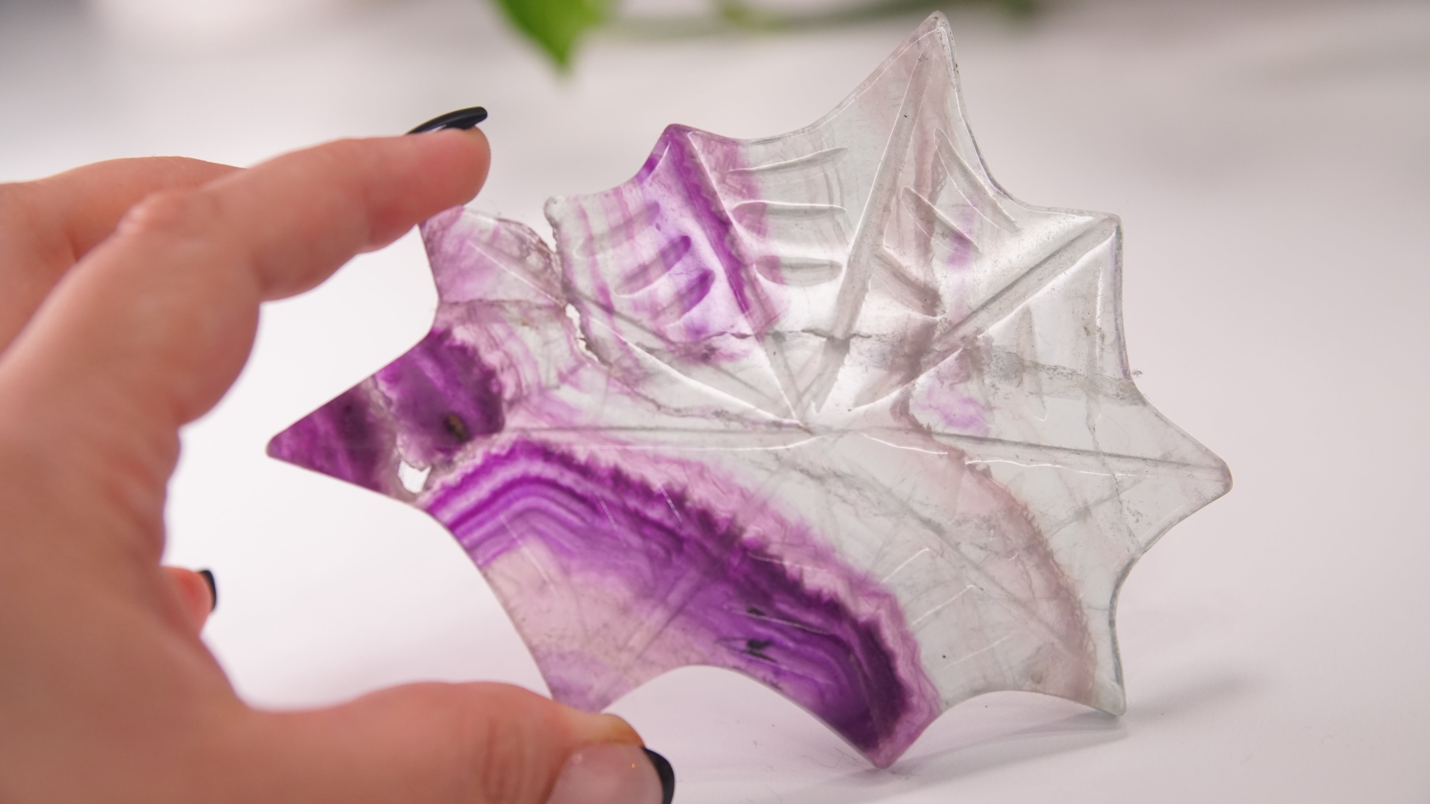 Fluorite Spider Web With FREE Spider Stand | Crystal Carving Sculpture