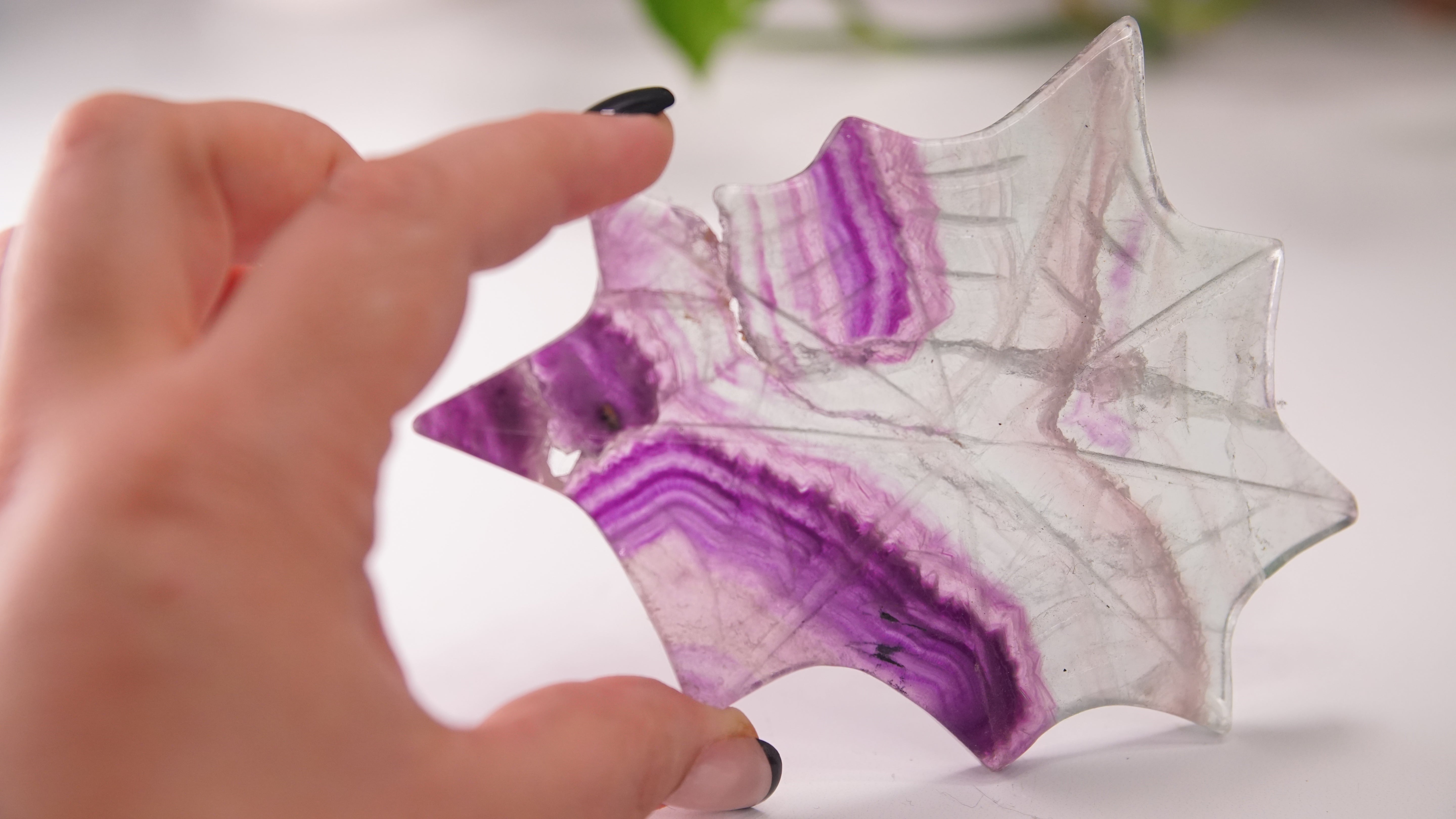 Fluorite Spider Web With FREE Spider Stand | Crystal Carving Sculpture