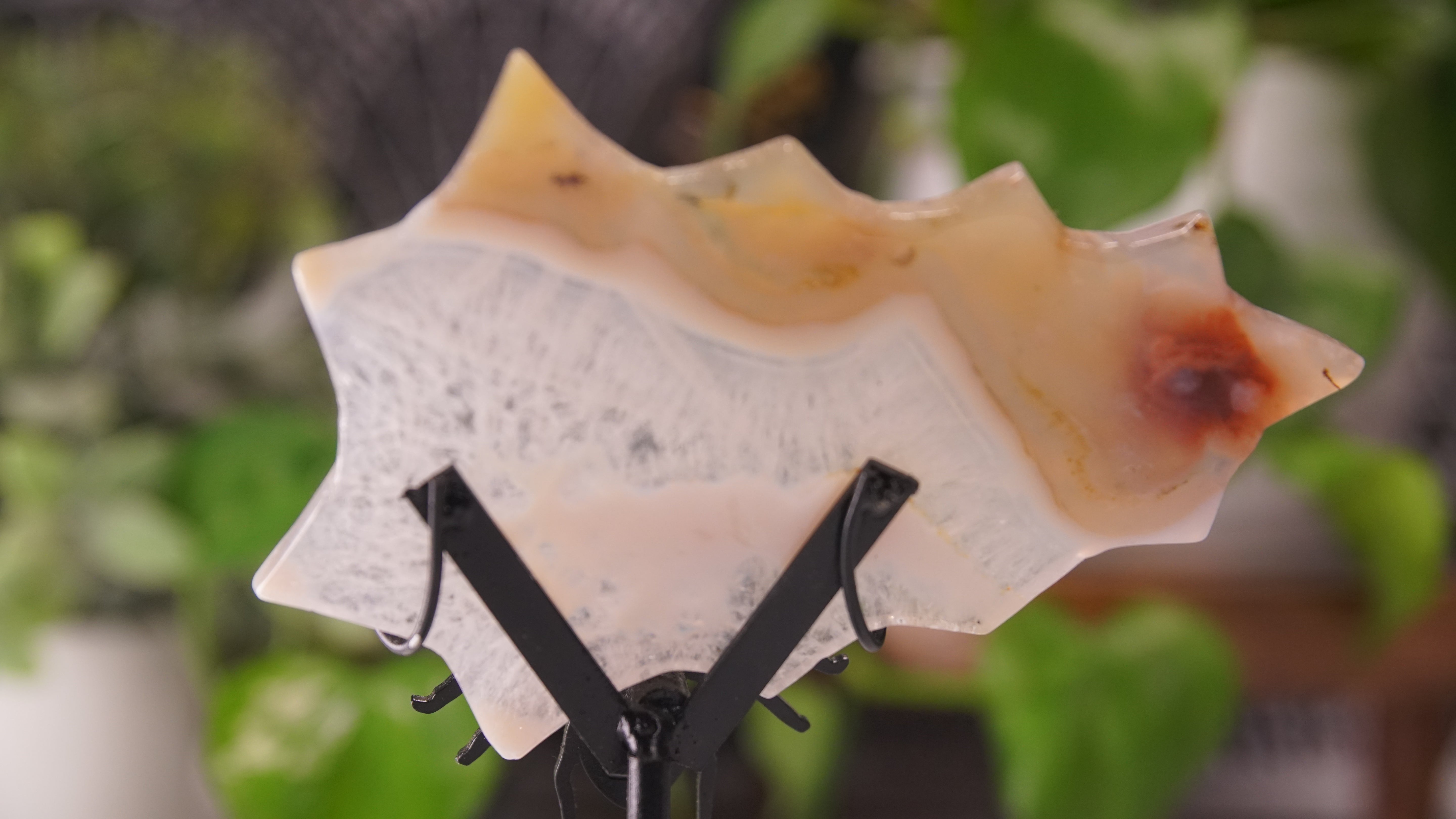 Agate Spider Web With FREE Spider Stand | Crystal Carving Sculpture