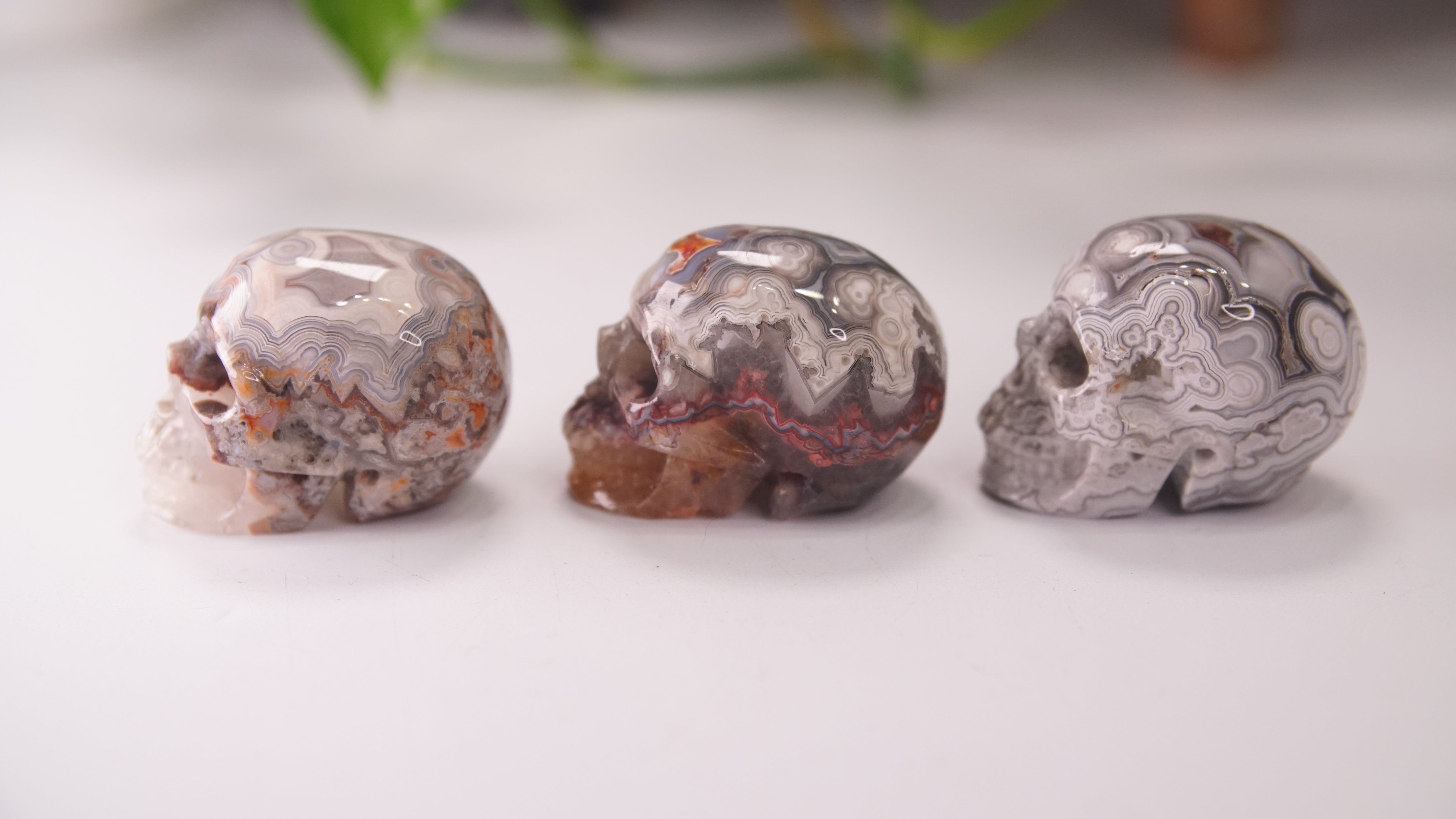 High Quality Mexican Crazy Lace Agate Skull (Small, 2")