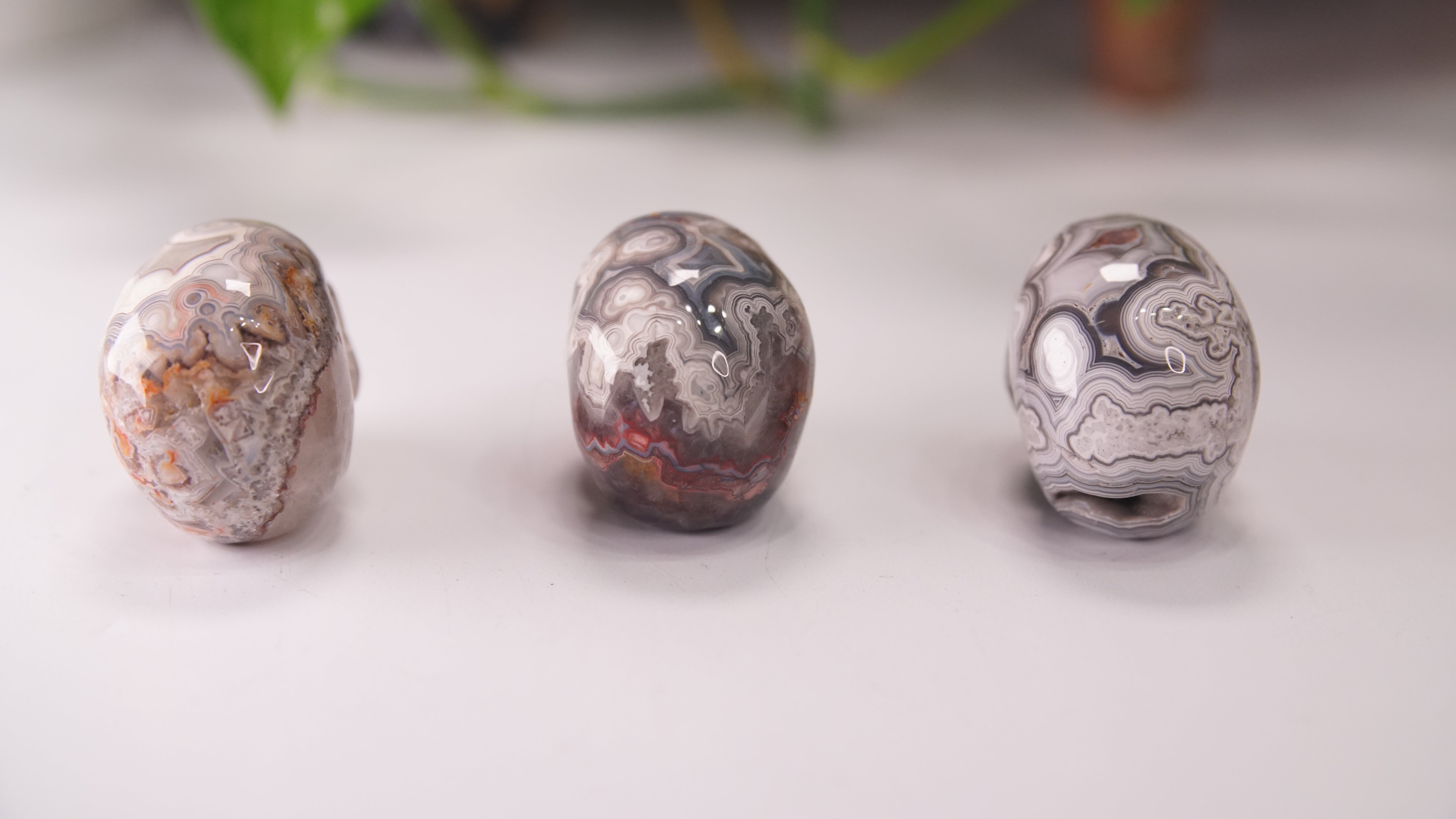 High Quality Mexican Crazy Lace Agate Skull (Small, 2")