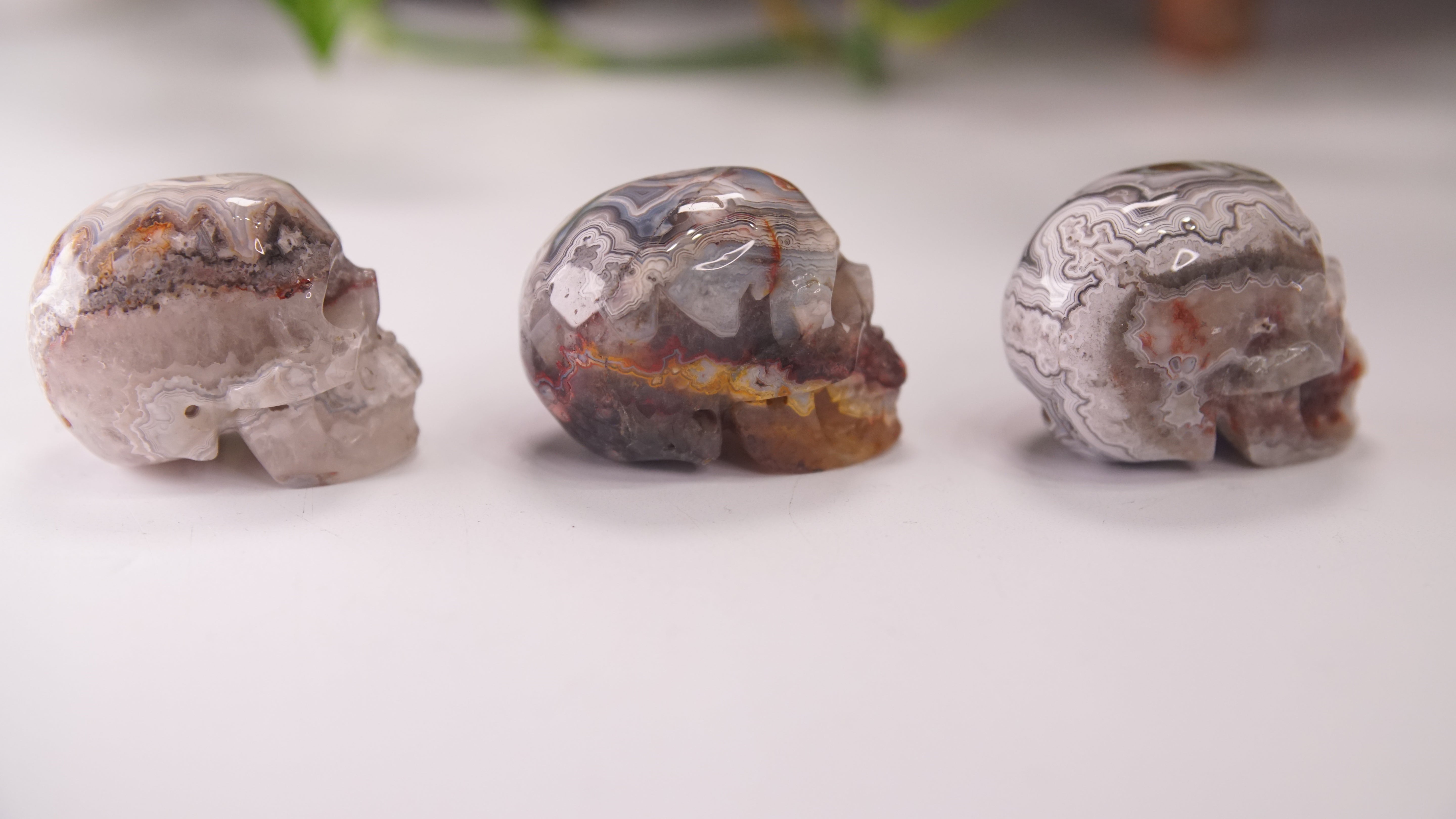 High Quality Mexican Crazy Lace Agate Skull (Small, 2")