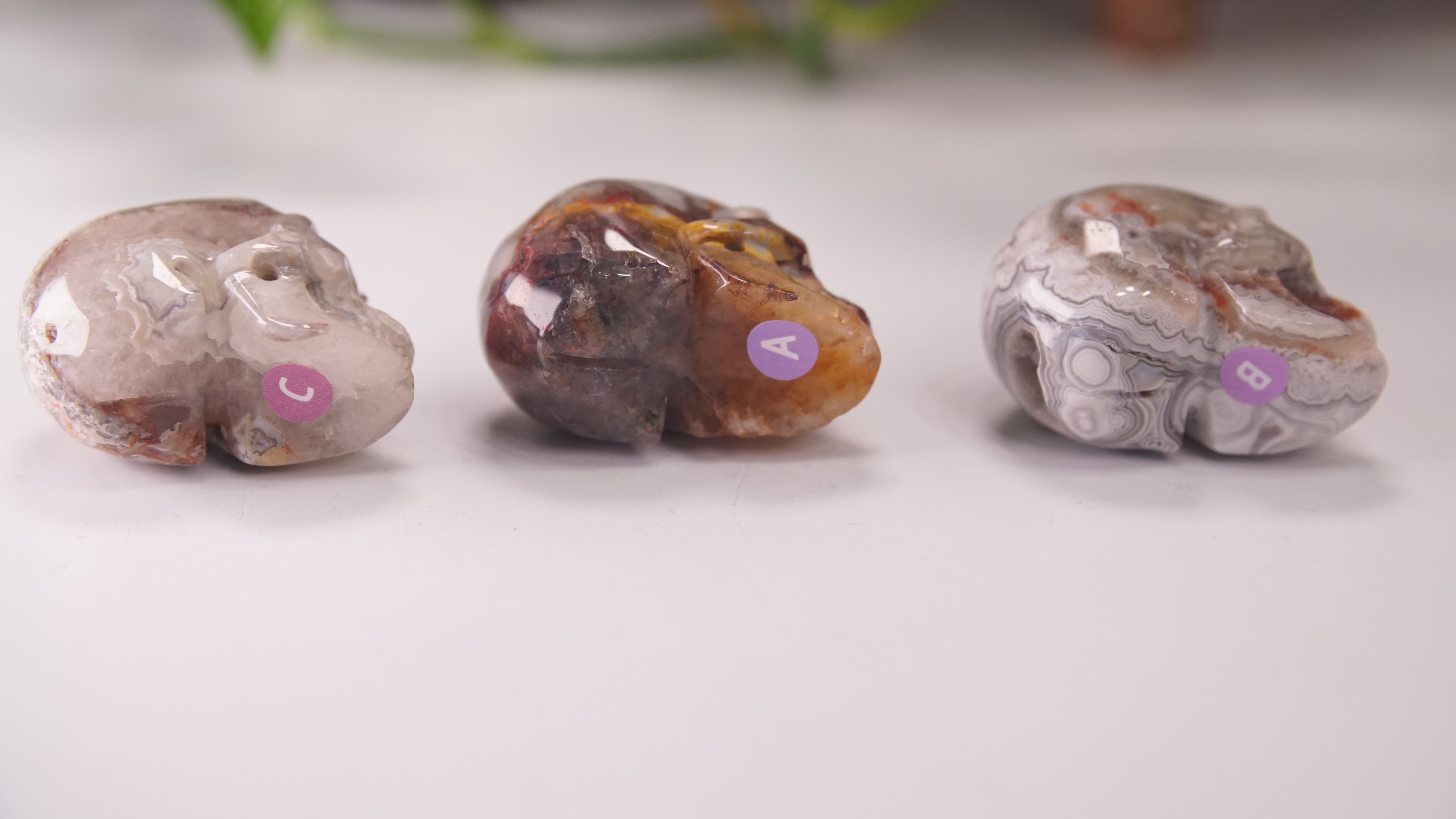 High Quality Mexican Crazy Lace Agate Skull (Small, 2")