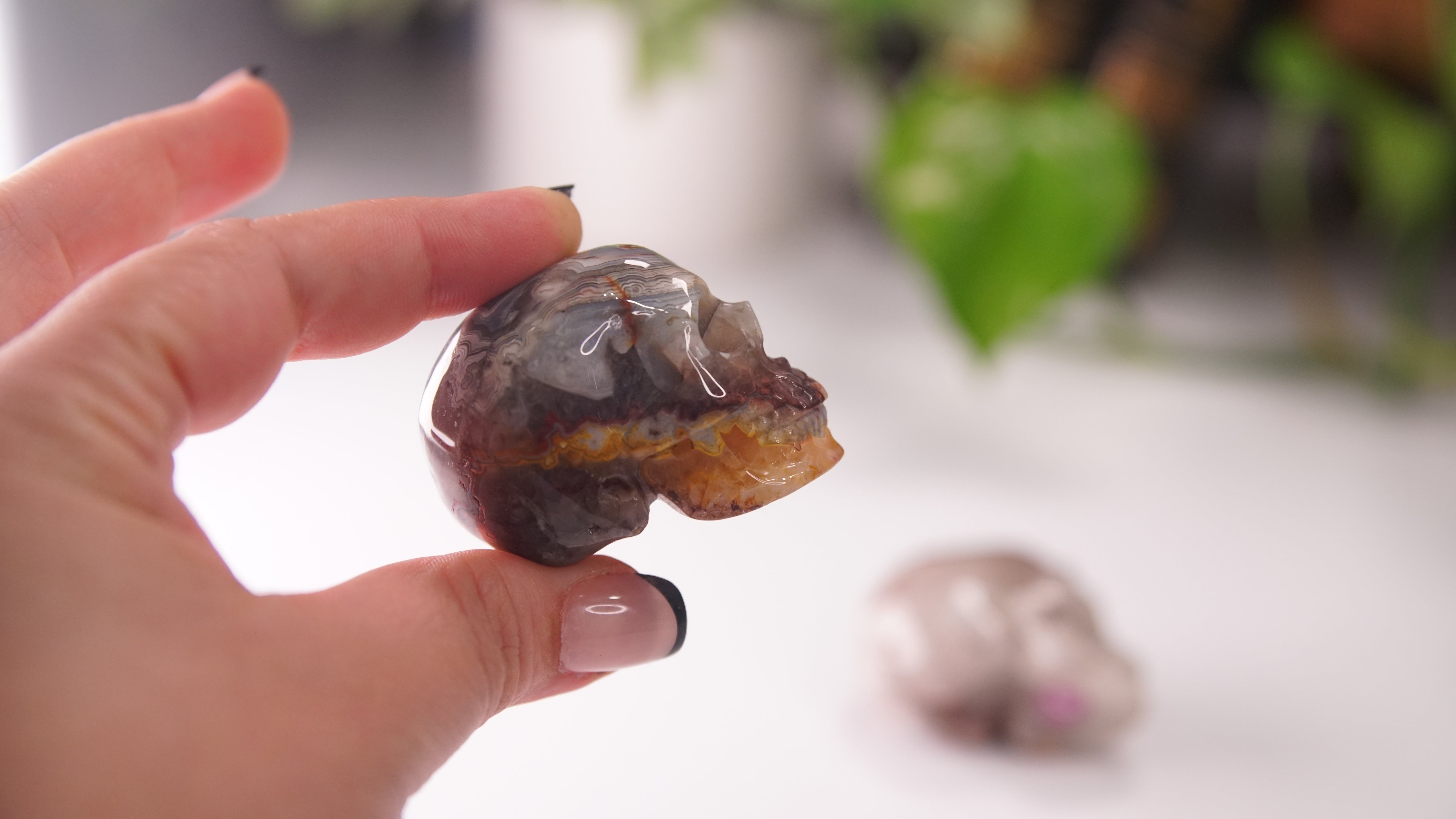 High Quality Mexican Crazy Lace Agate Skull (Small, 2")
