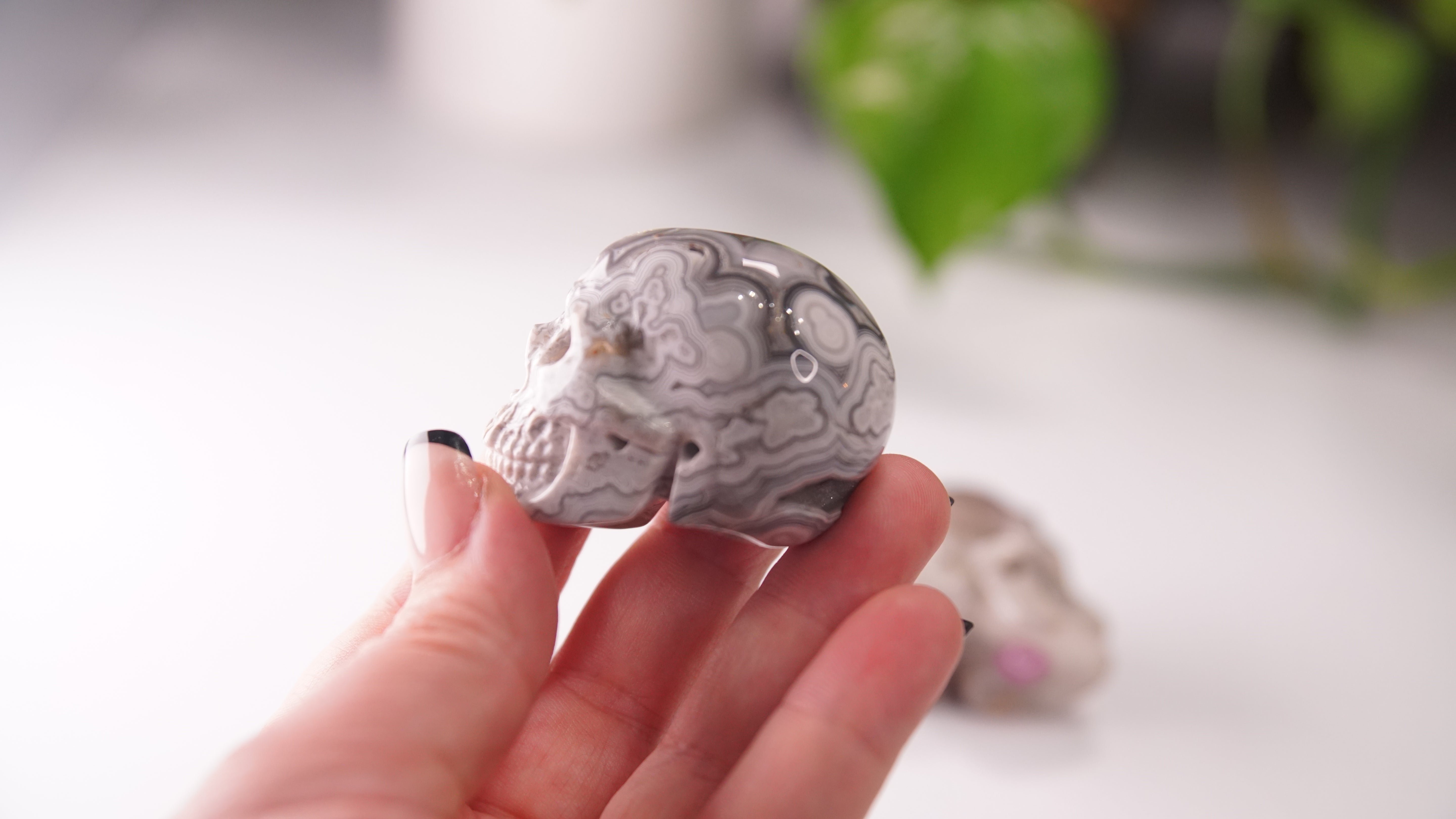 High Quality Mexican Crazy Lace Agate Skull (Small, 2")