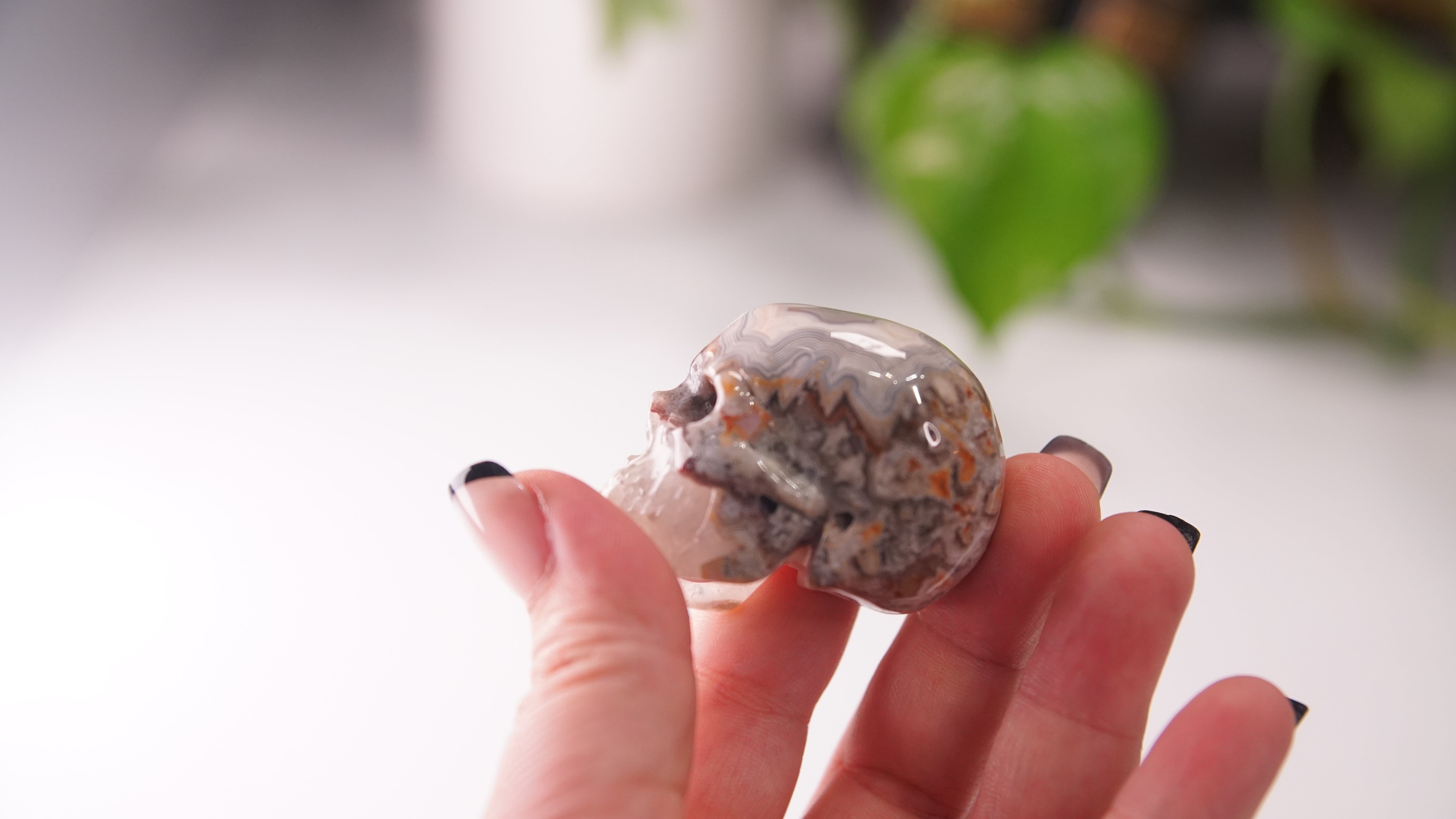 High Quality Mexican Crazy Lace Agate Skull (Small, 2")