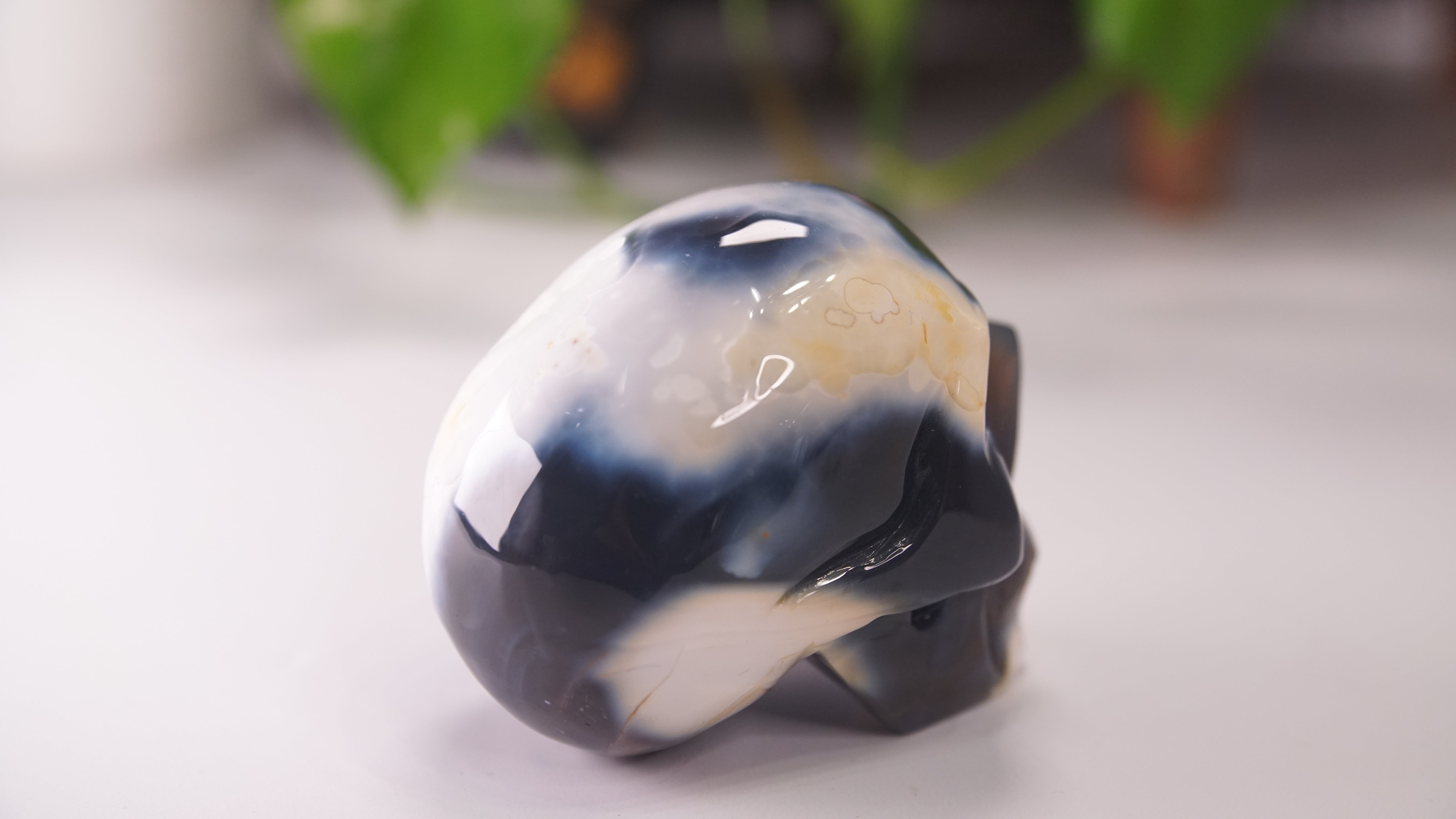 Orca Agate Large Skull Hand Carved Carving