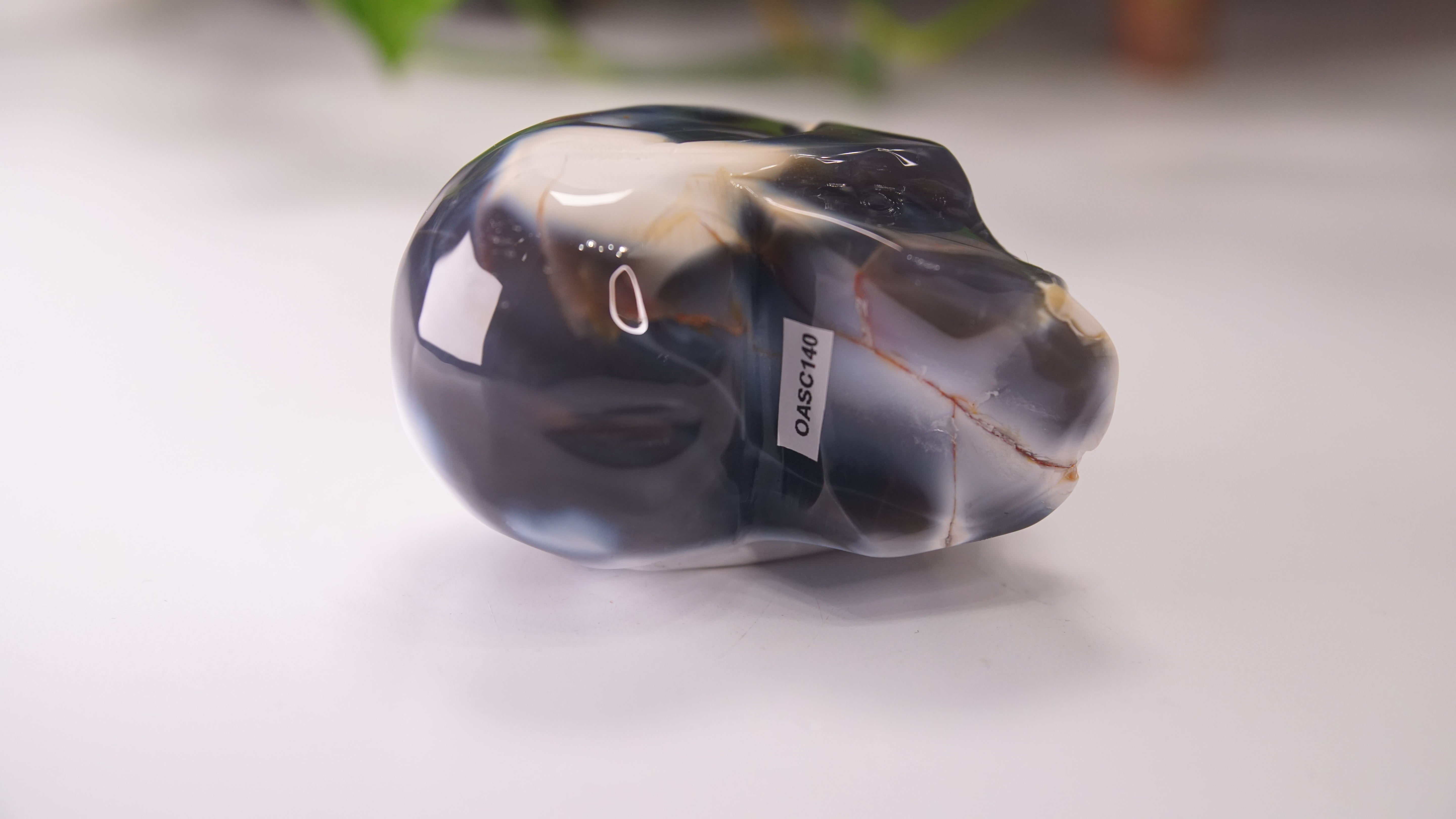 Orca Agate Large Skull Hand Carved Carving