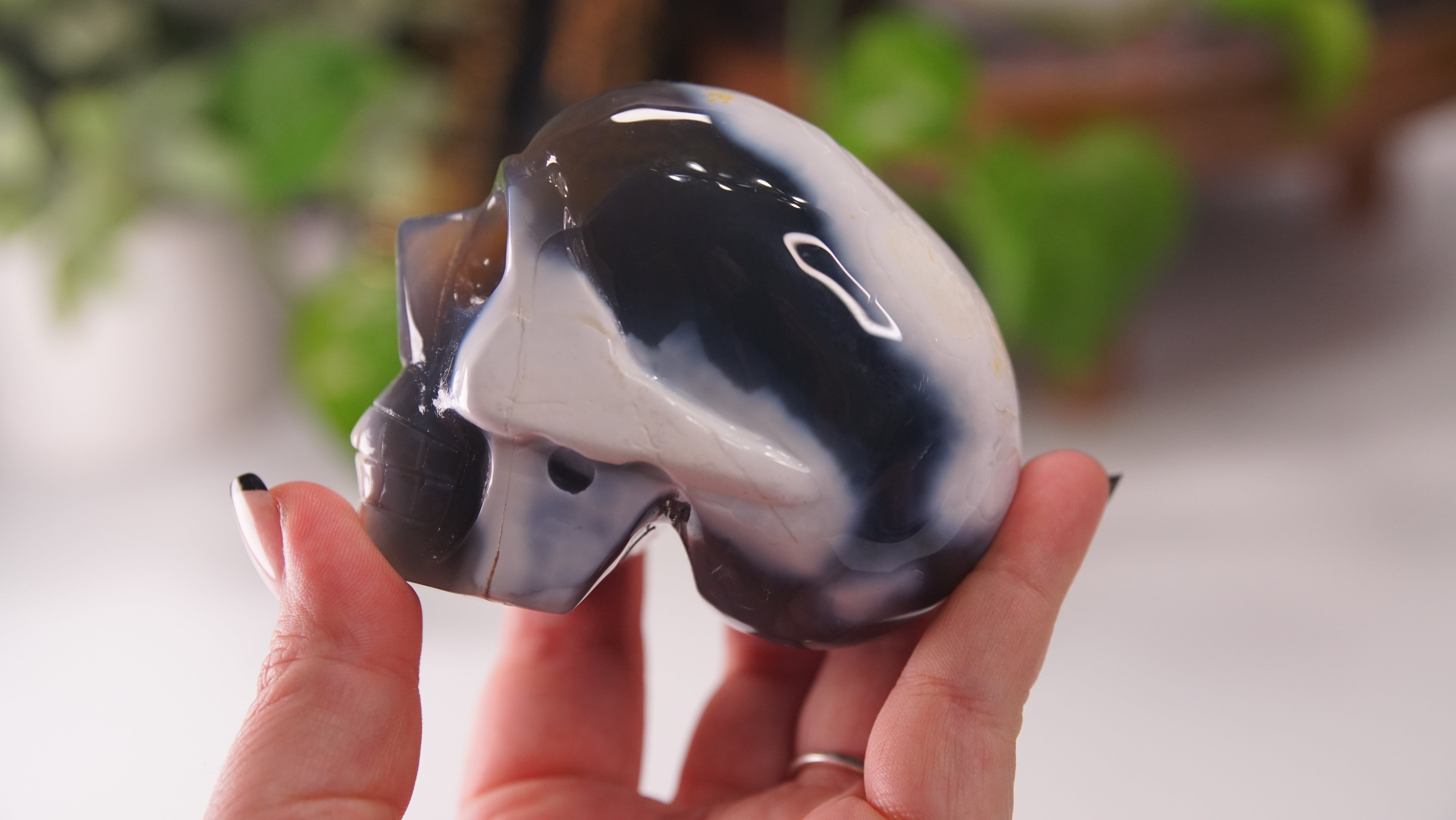 Orca Agate Large Skull Hand Carved Carving