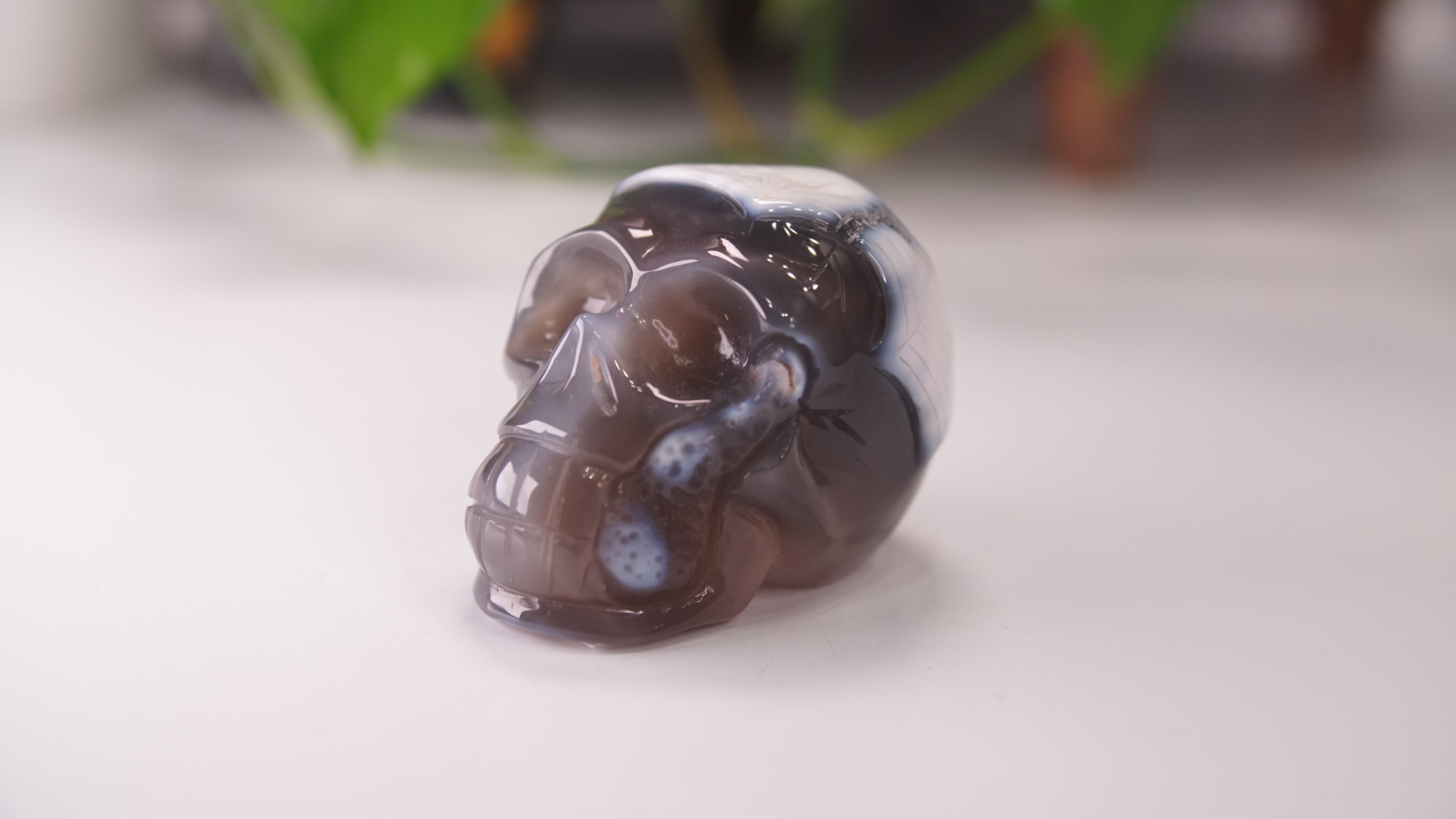 Orca Agate Large Skull Hand Carved Carving