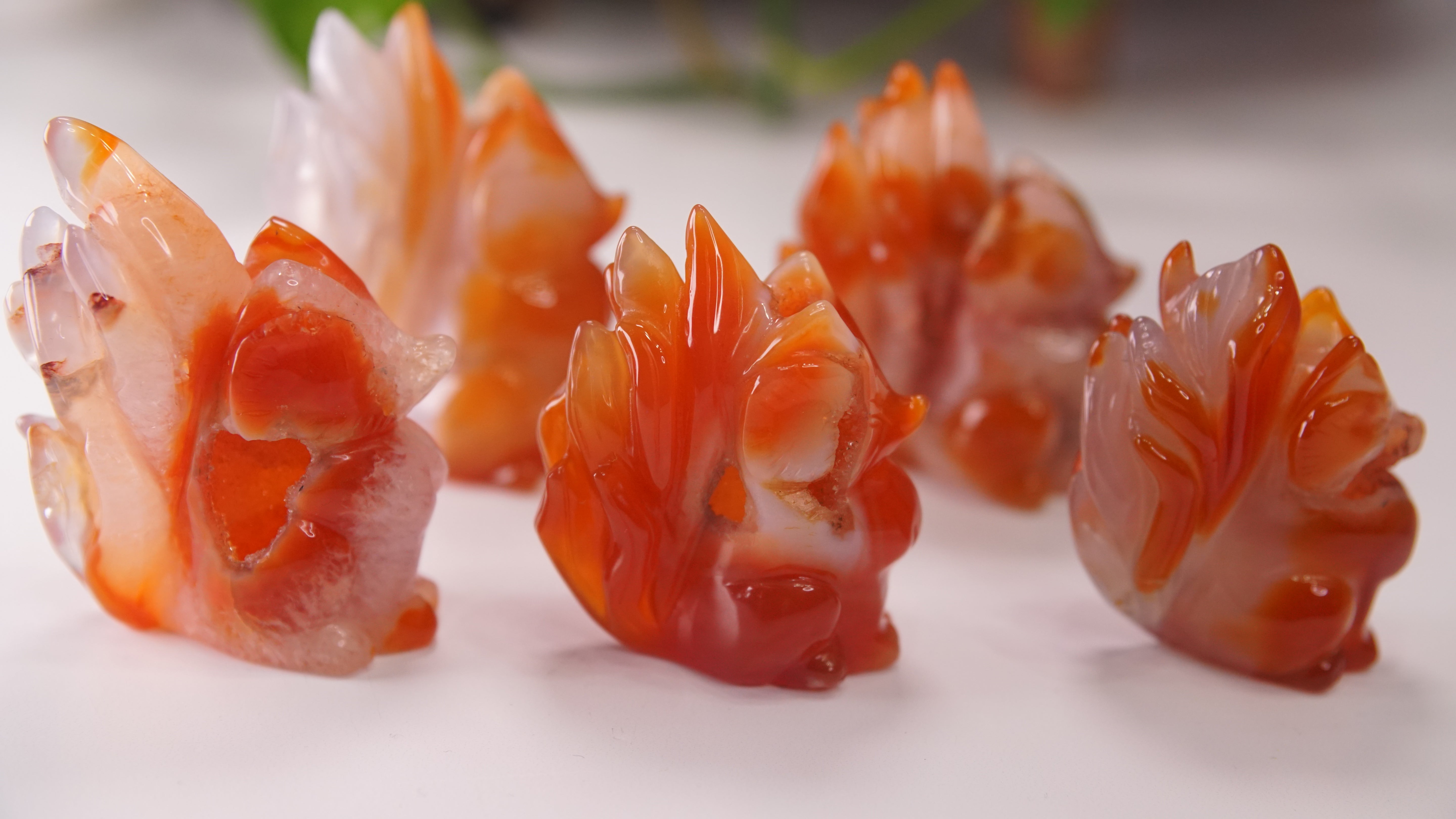 Druzy Carnelian Fox Boutique Carvings | High Quality | US Seller