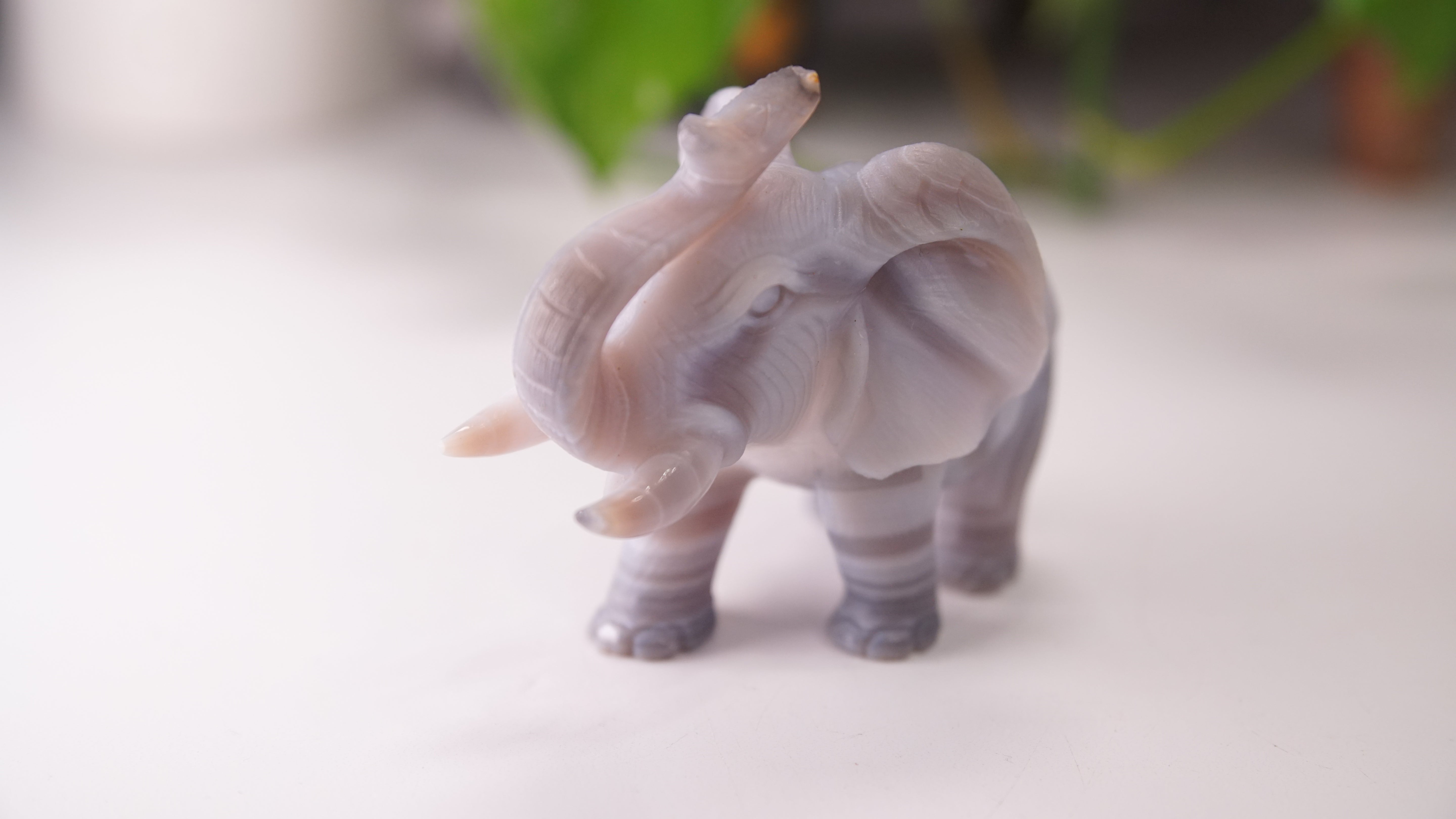 Cute Agate Boutique Elephant Carving | Crystal Carving Statement Piece