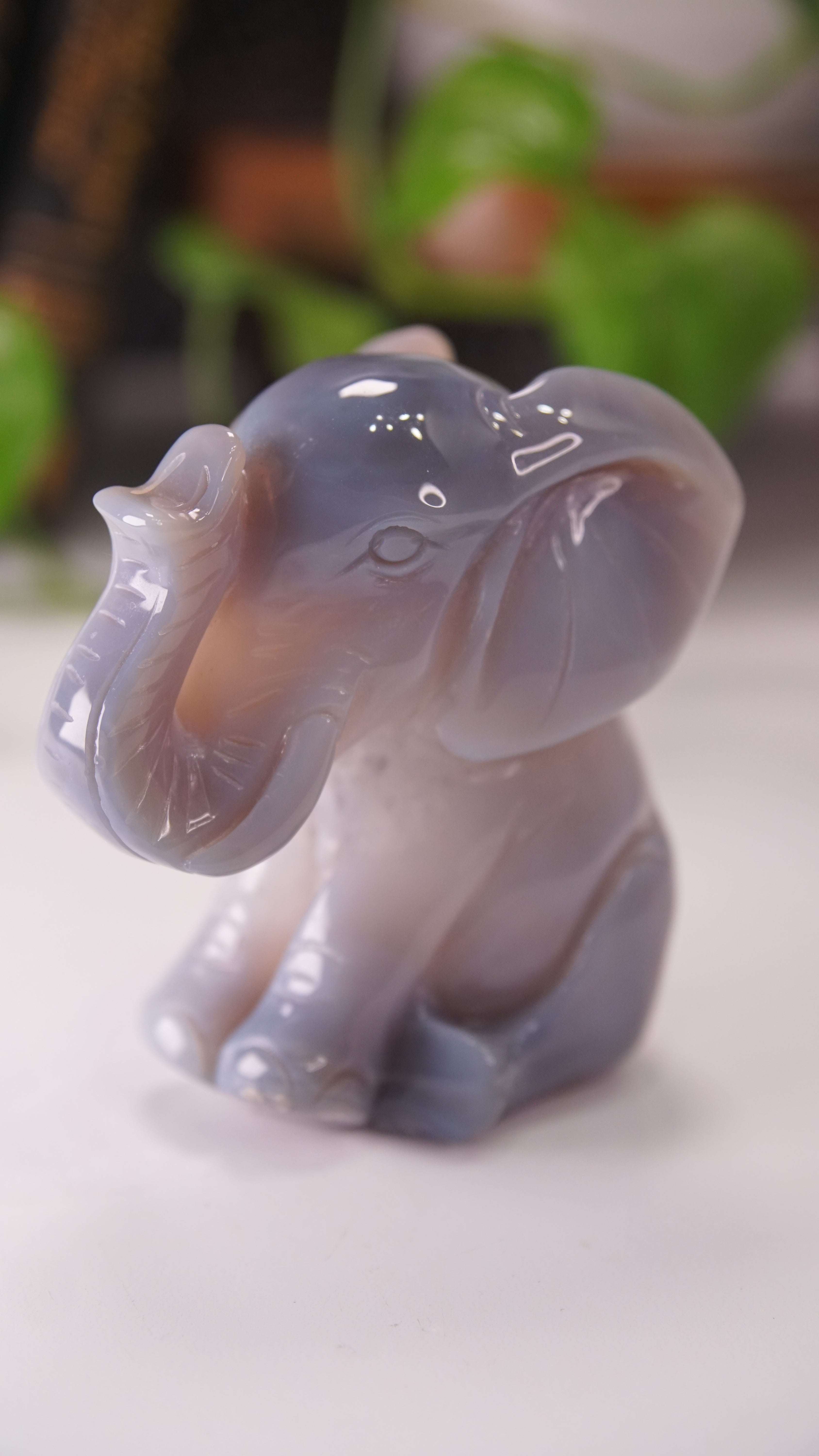 Agate Boutique Sitting Elephant Carving | Crystal Carving Statement Piece