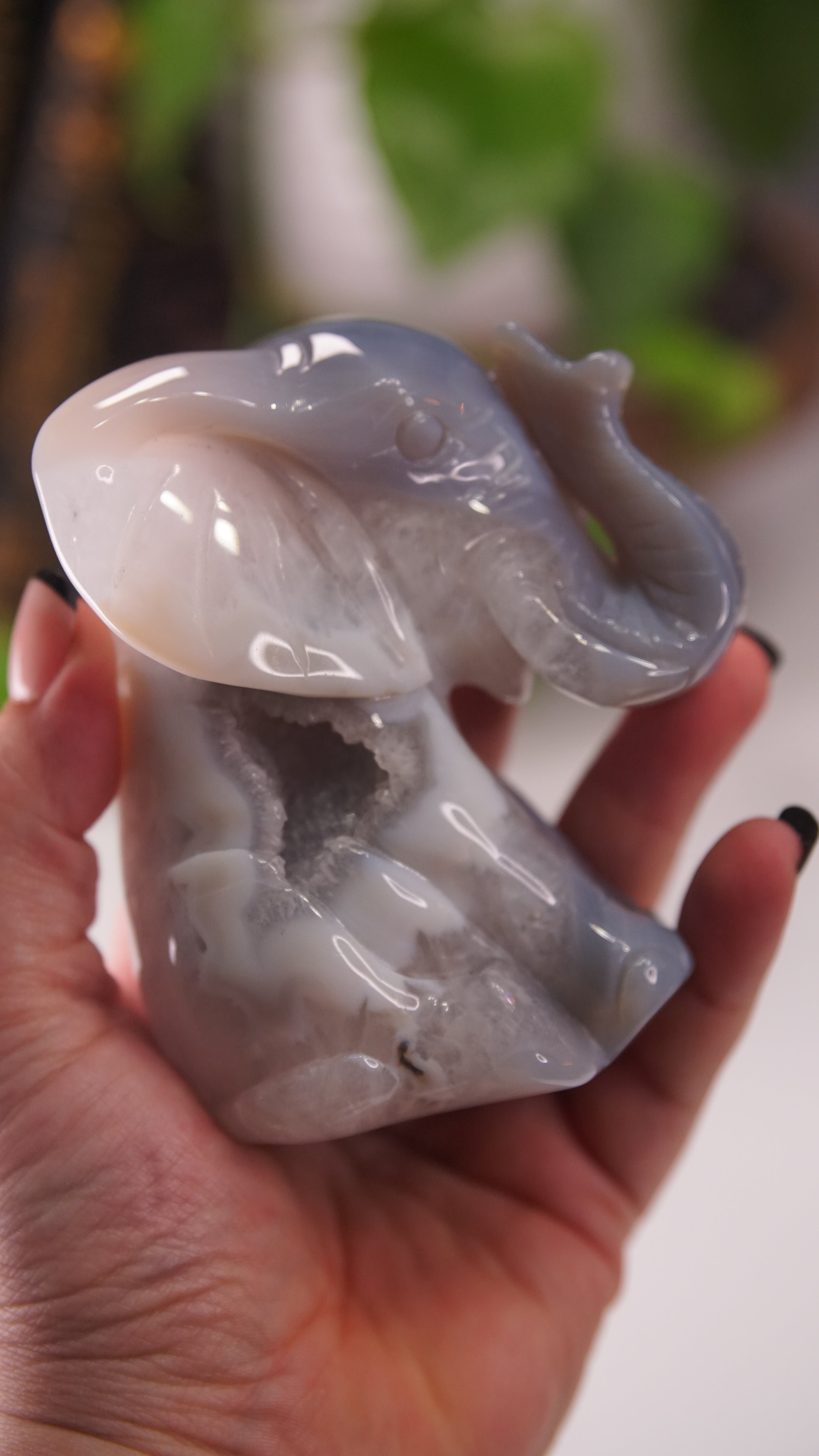 Agate Boutique Sitting Elephant Carving | Crystal Carving Statement Piece