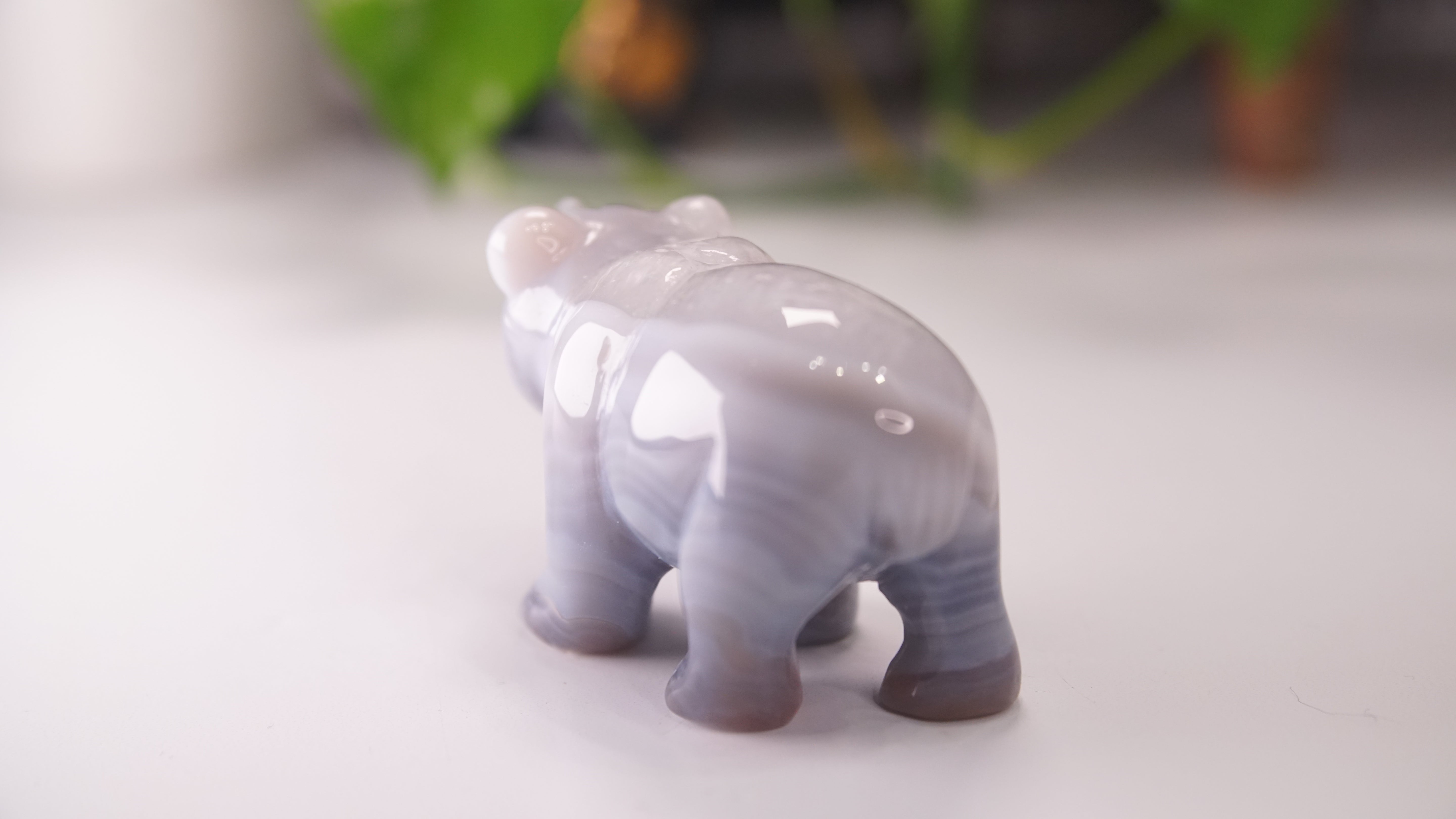 Druzy Agate Hand Carved Bear Carving | Crystal Carving Statement Piece