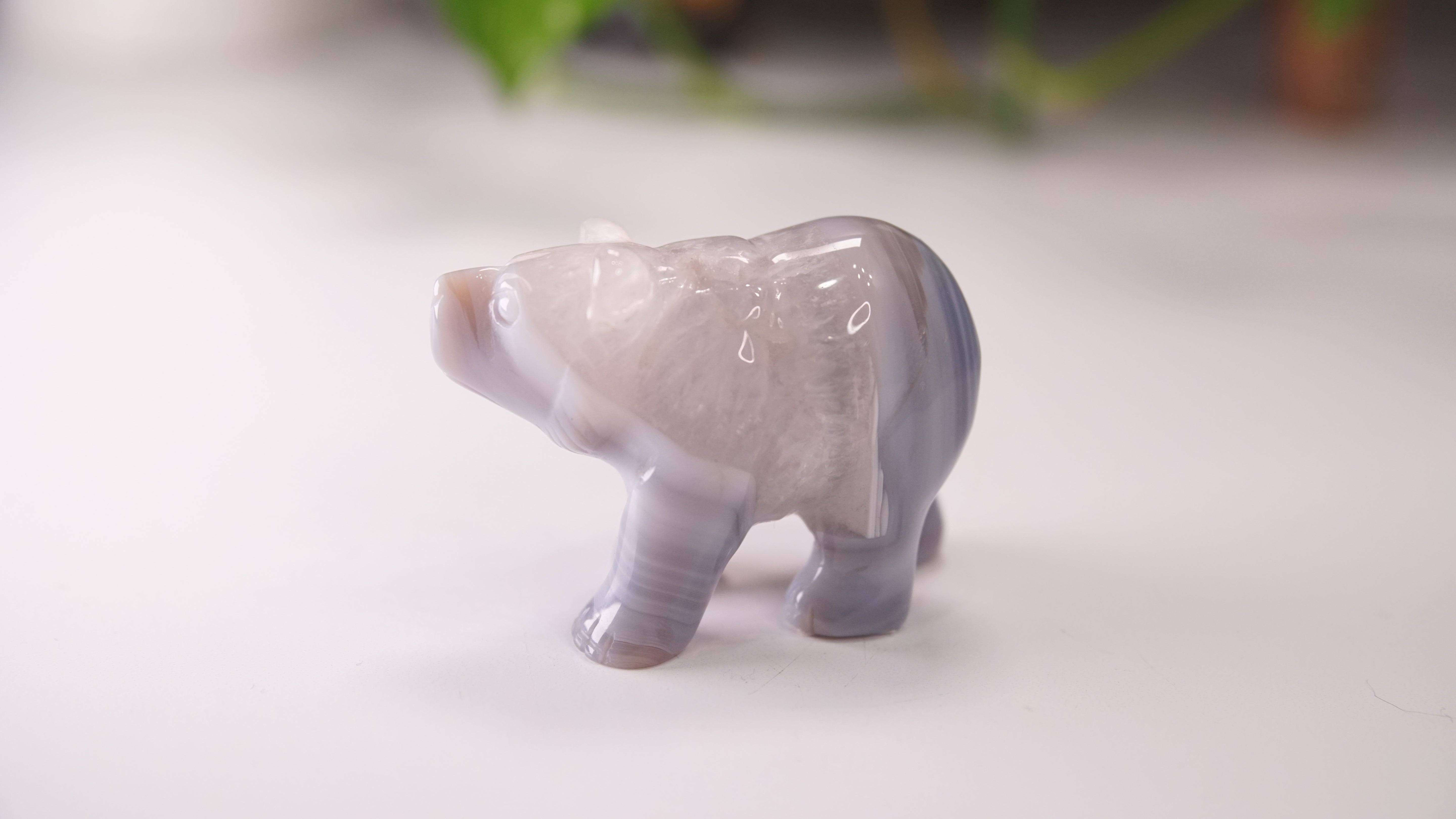 Druzy Agate Hand Carved Bear Carving | Crystal Carving Statement Piece
