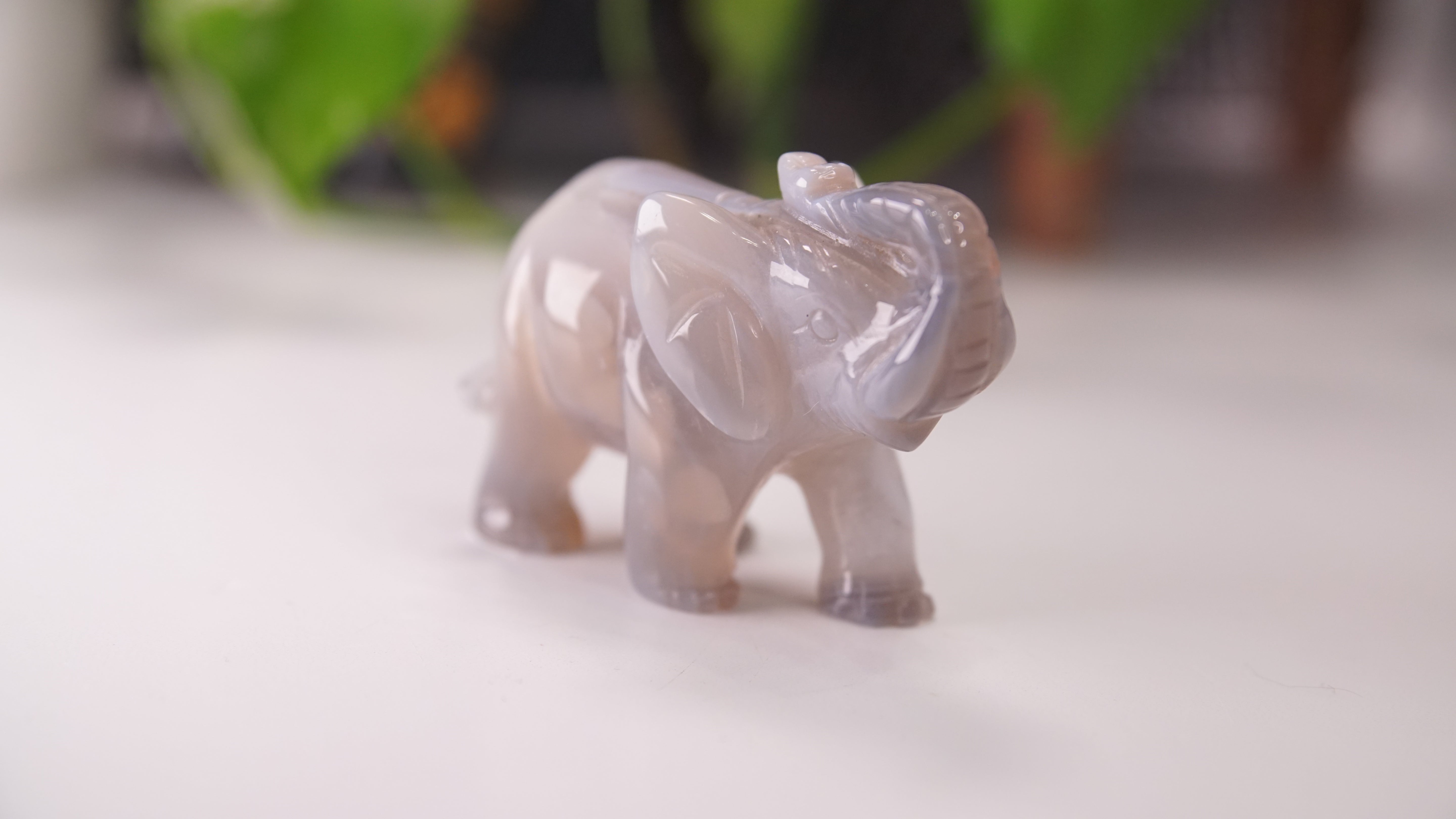 Druzy Agate Hand Carved Elephant Carving | Crystal Carving Statement Piece