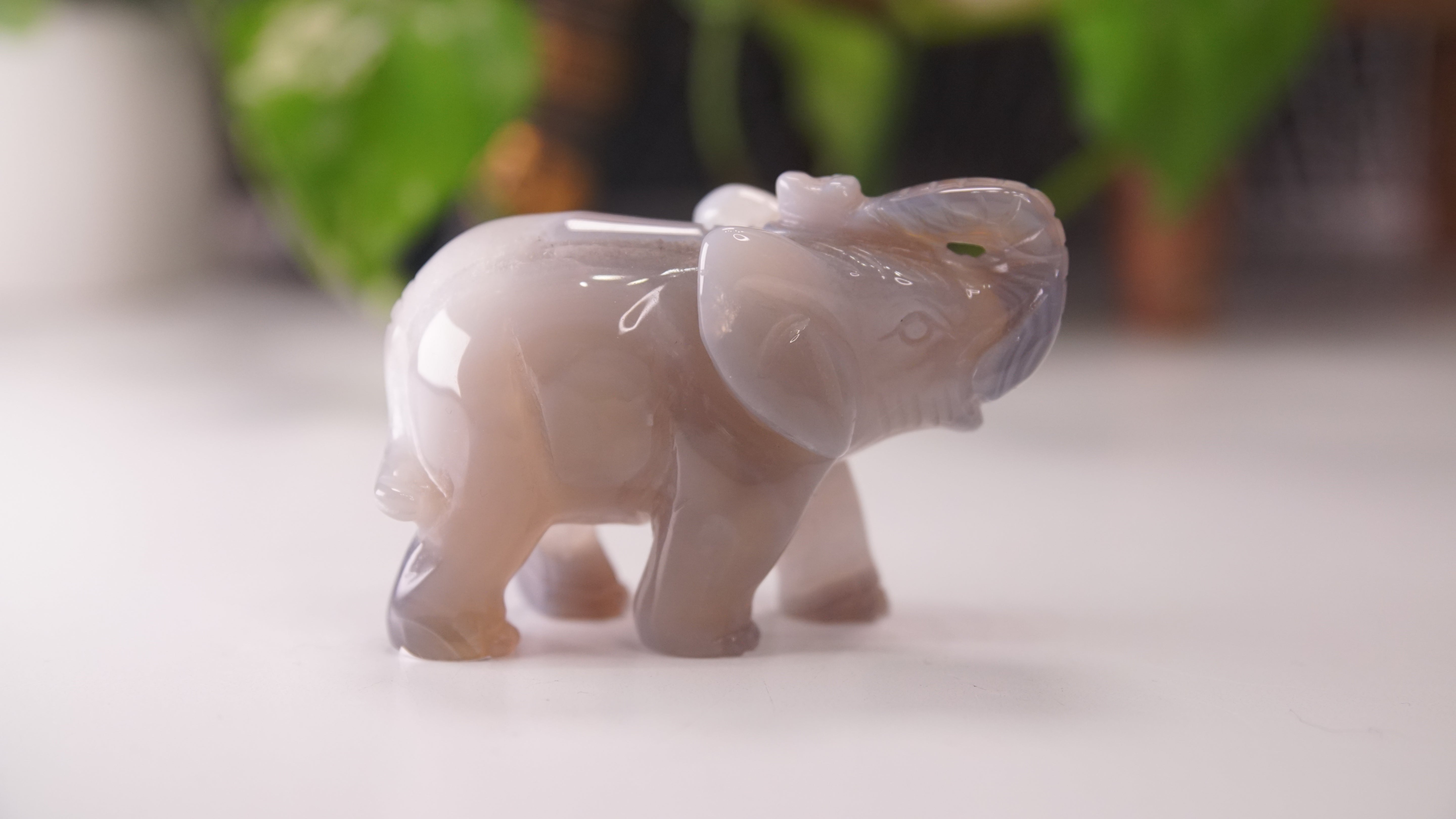 Druzy Agate Hand Carved Elephant Carving | Crystal Carving Statement Piece