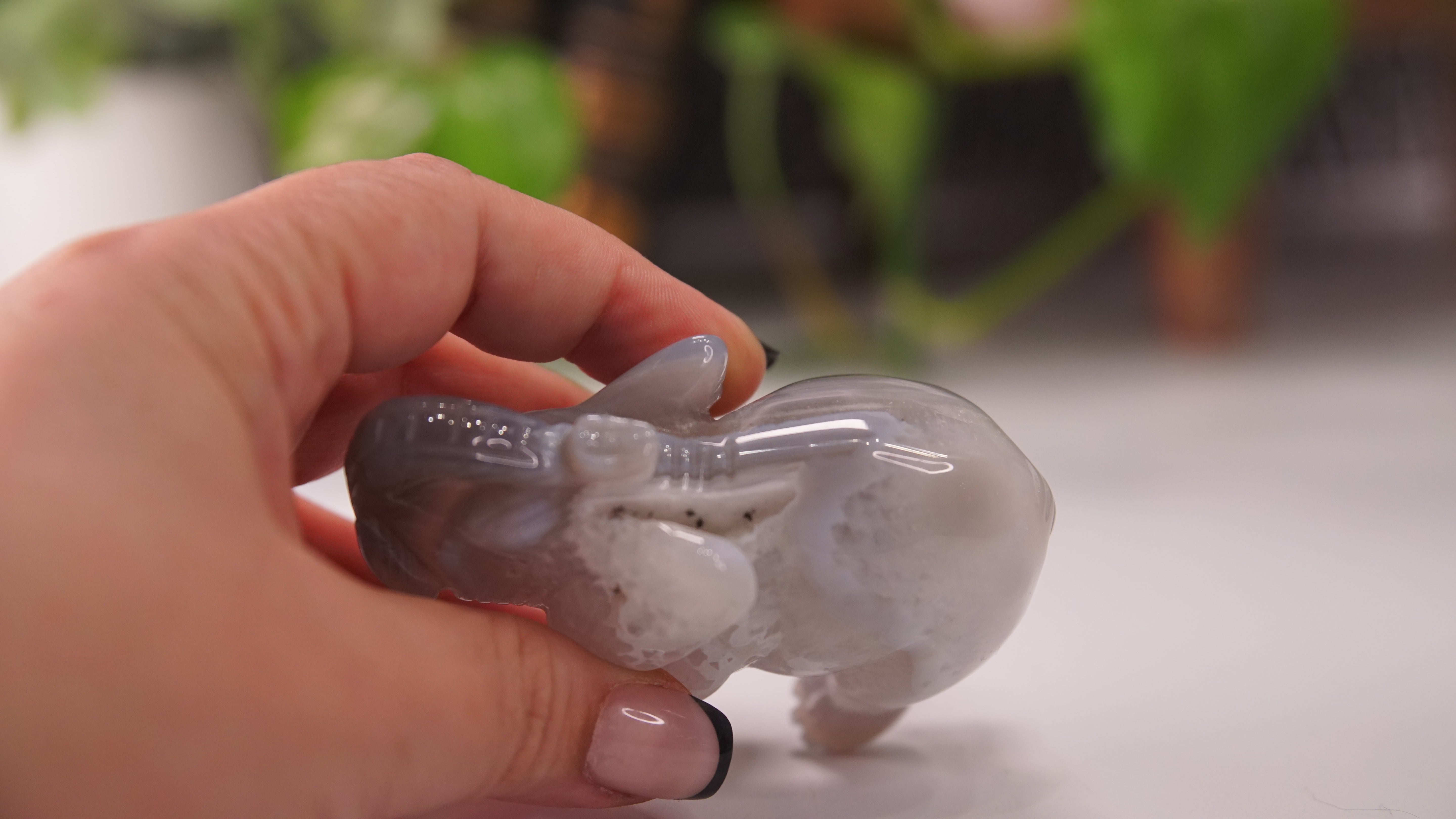 Druzy Agate Hand Carved Elephant Carving | Crystal Carving Statement Piece