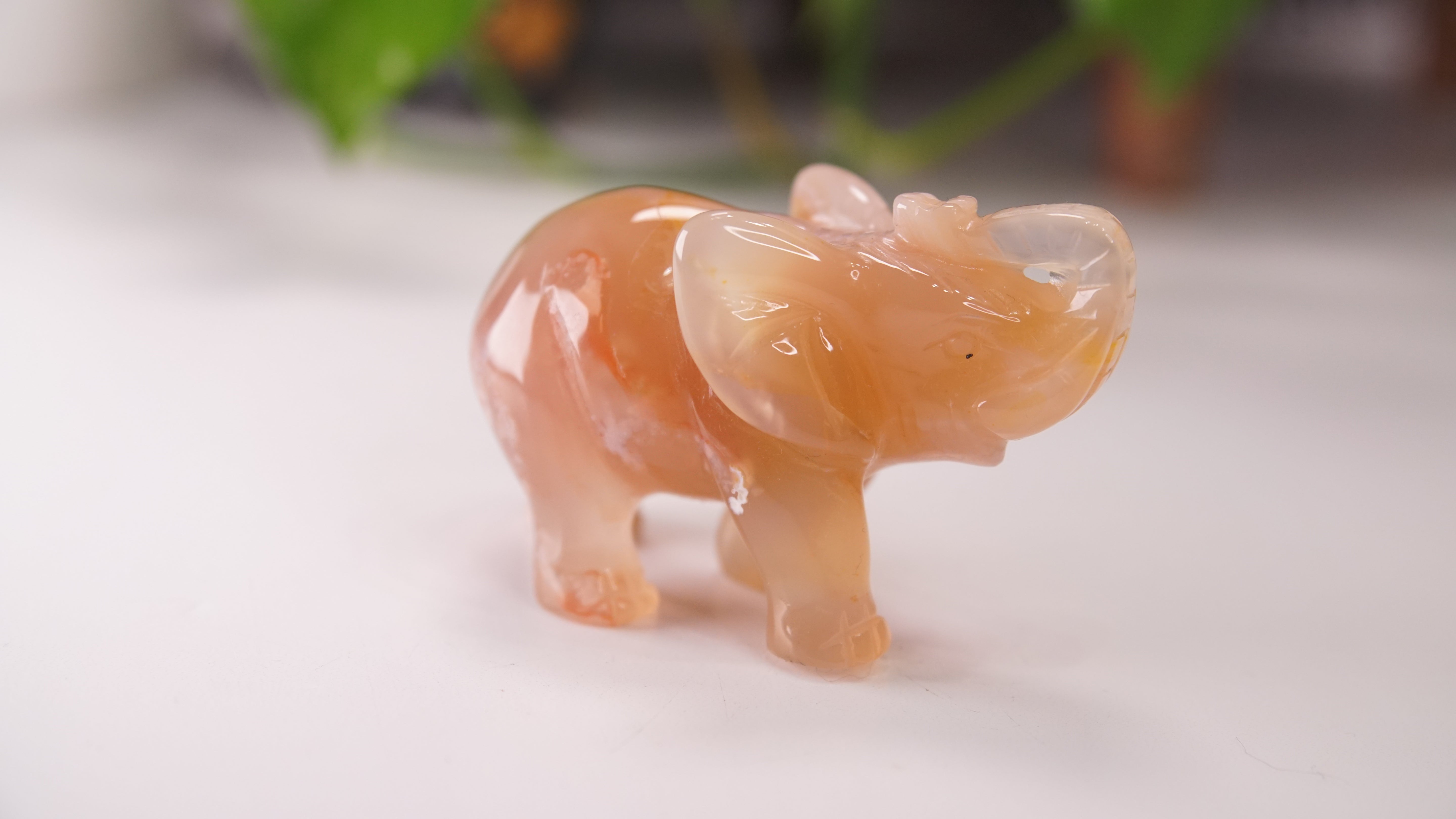 Druzy Agate Hand Carved Elephant Carving | Crystal Carving Statement Piece