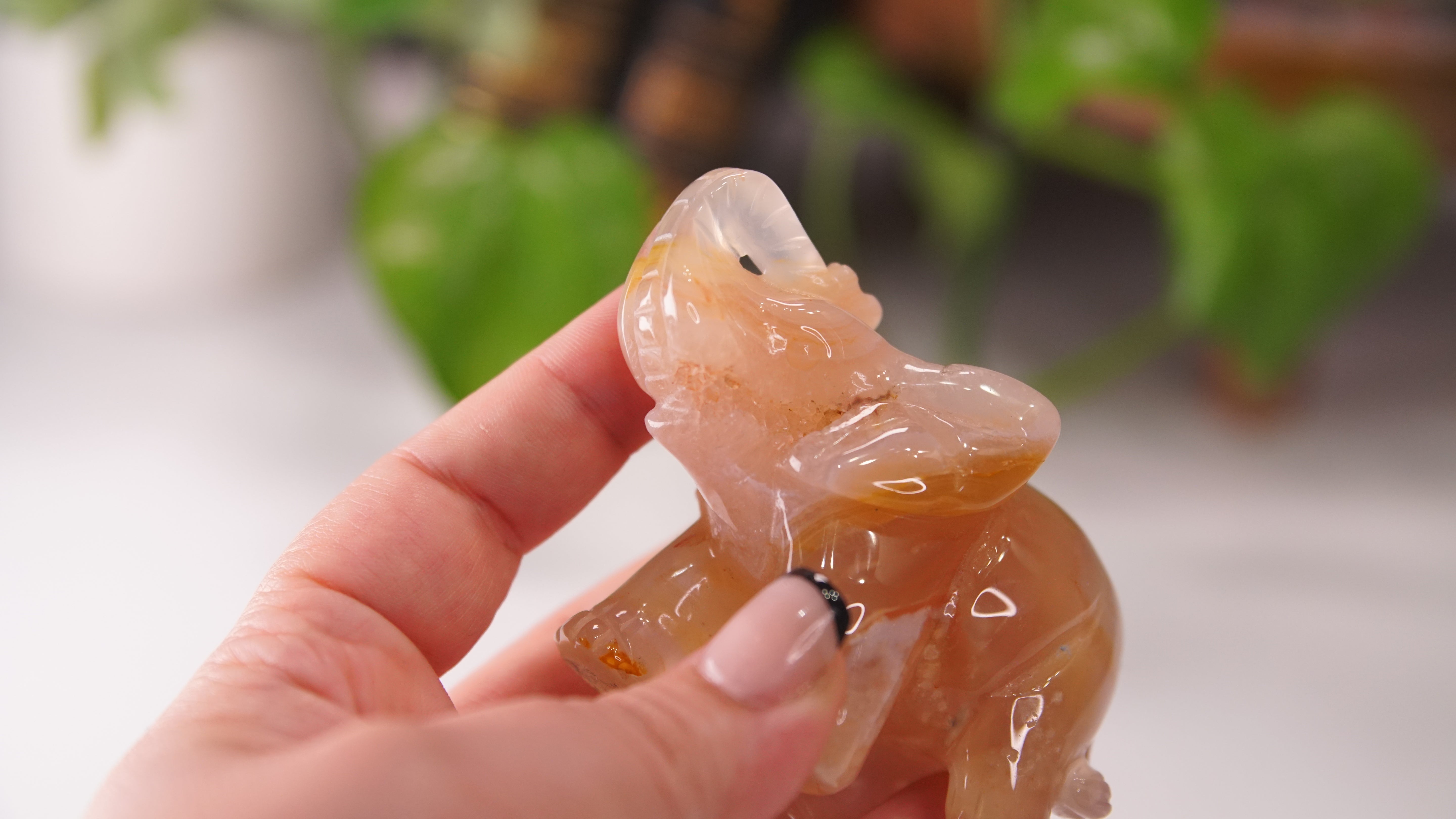 Druzy Agate Hand Carved Elephant Carving | Crystal Carving Statement Piece
