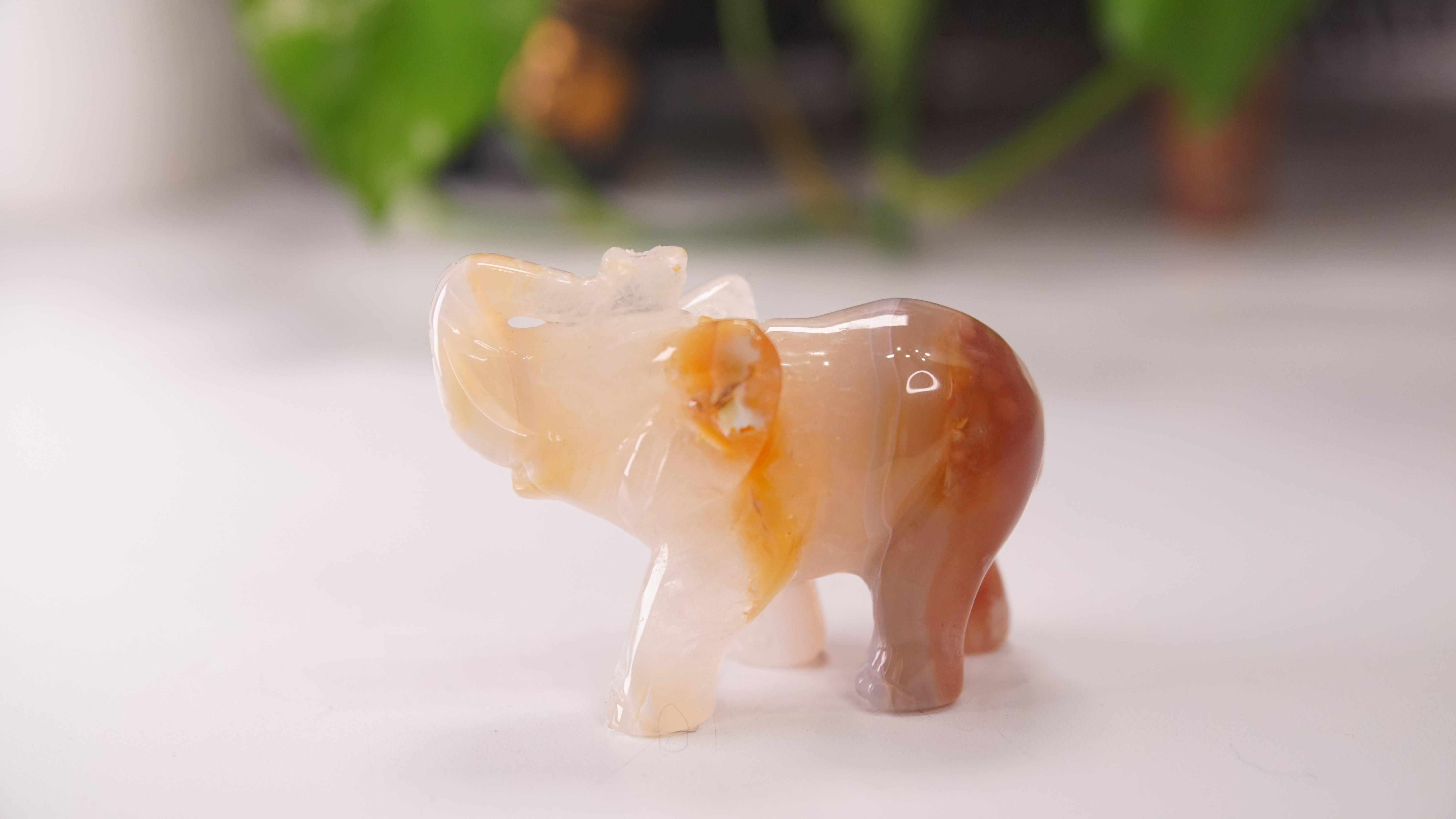Druzy Agate Hand Carved Elephant Carving | Crystal Carving Statement Piece