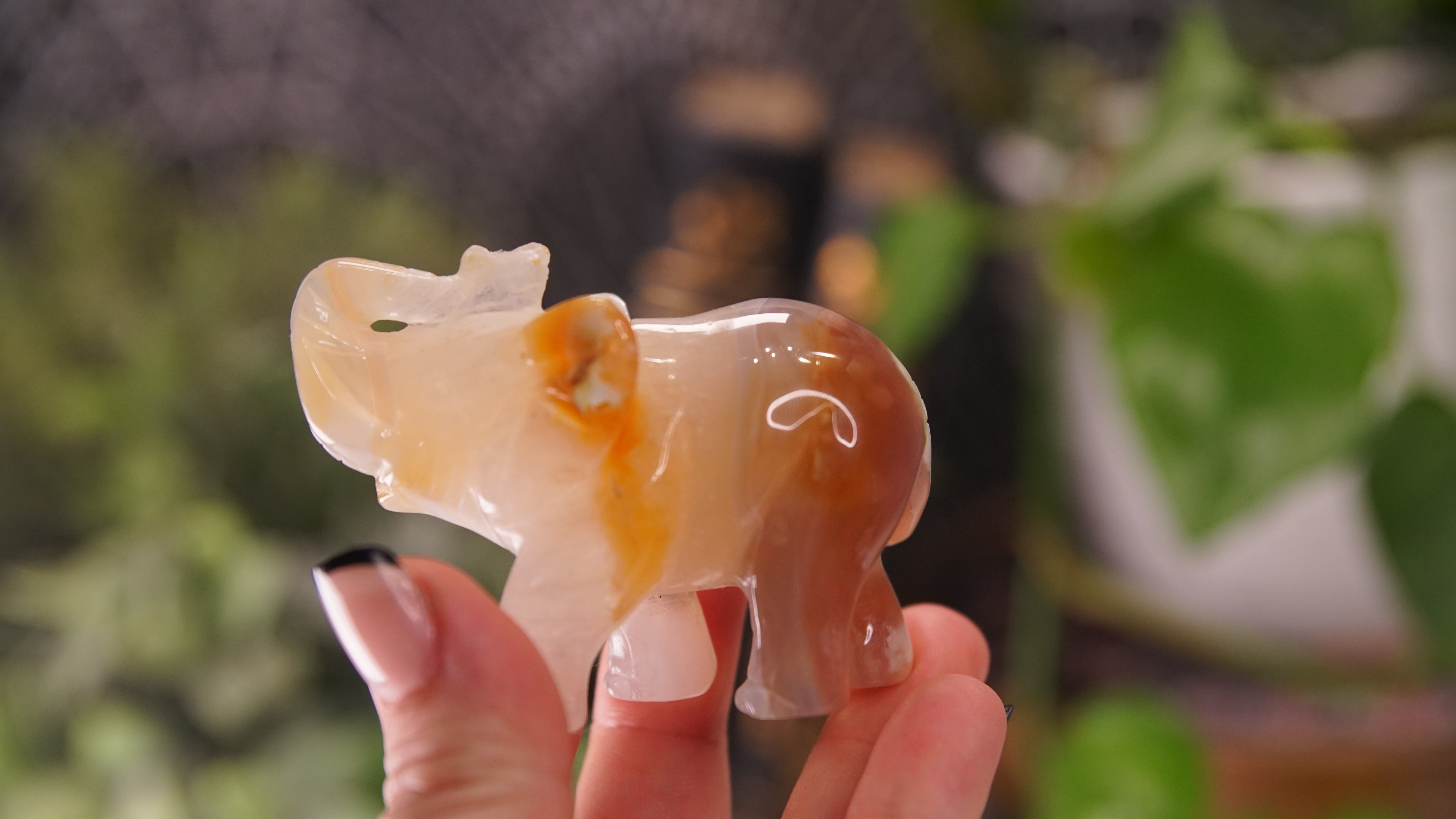 Druzy Agate Hand Carved Elephant Carving | Crystal Carving Statement Piece