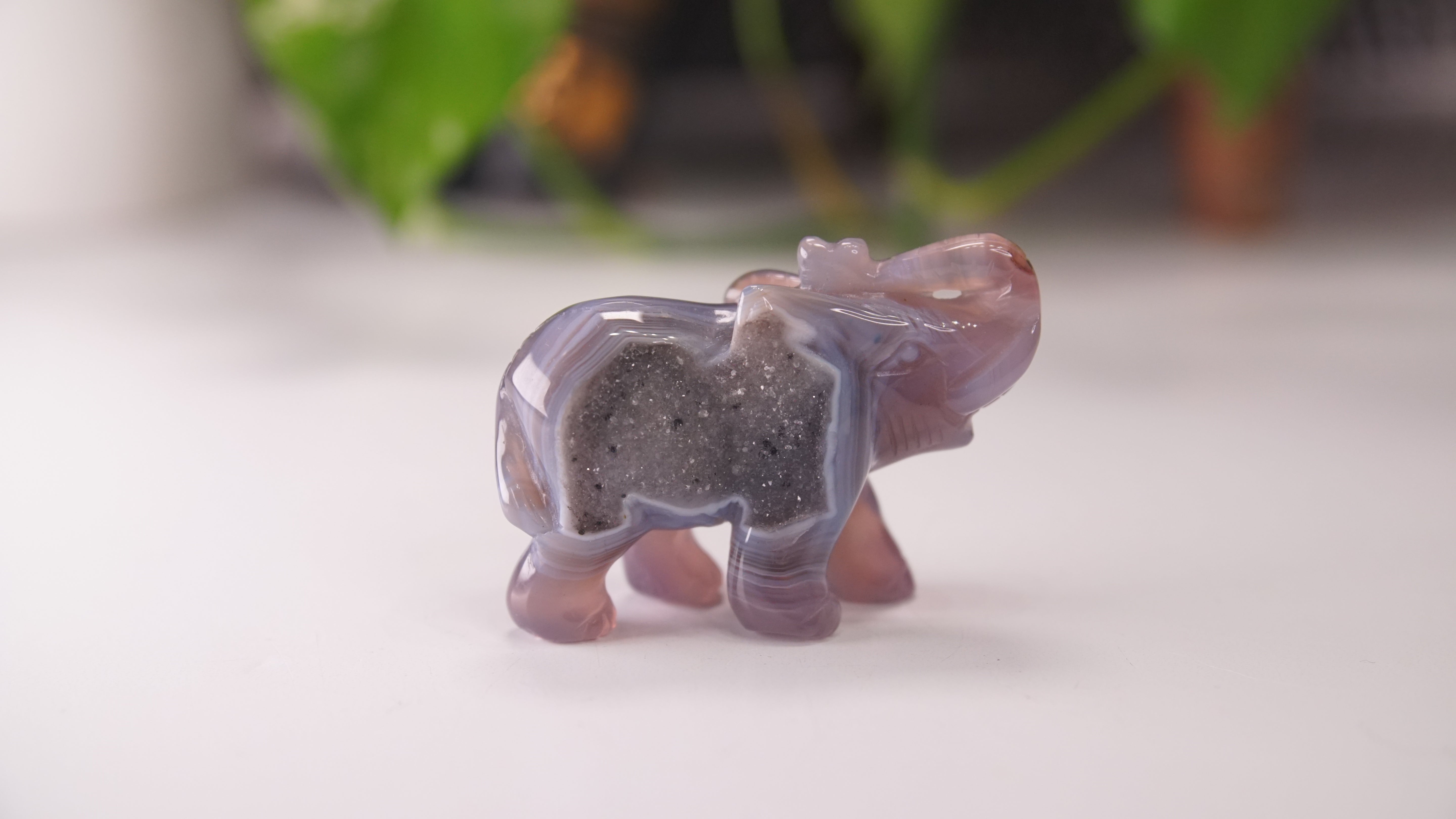 Druzy Agate Hand Carved Elephant Carving | Crystal Carving Statement Piece