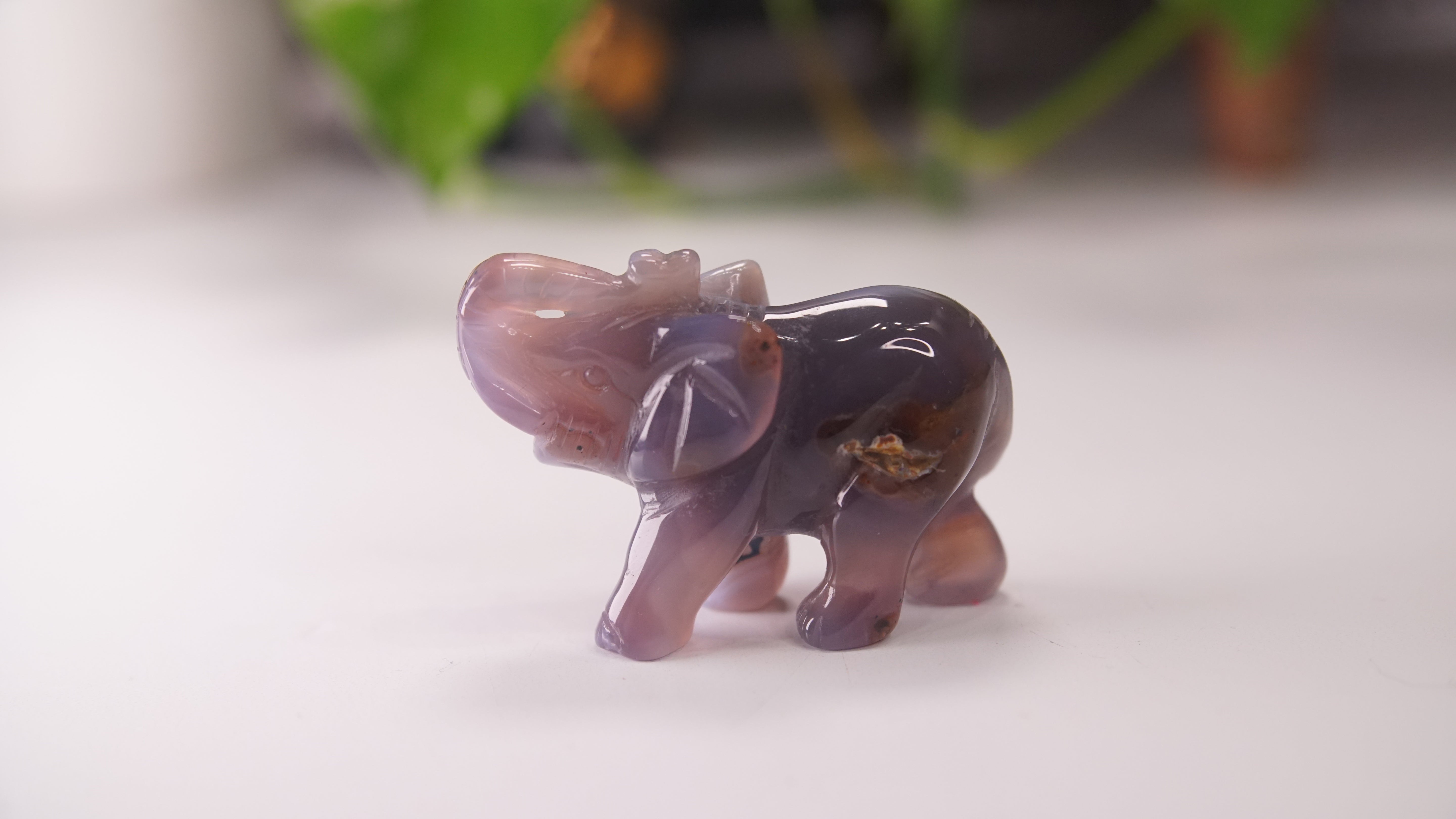 Druzy Agate Hand Carved Elephant Carving | Crystal Carving Statement Piece