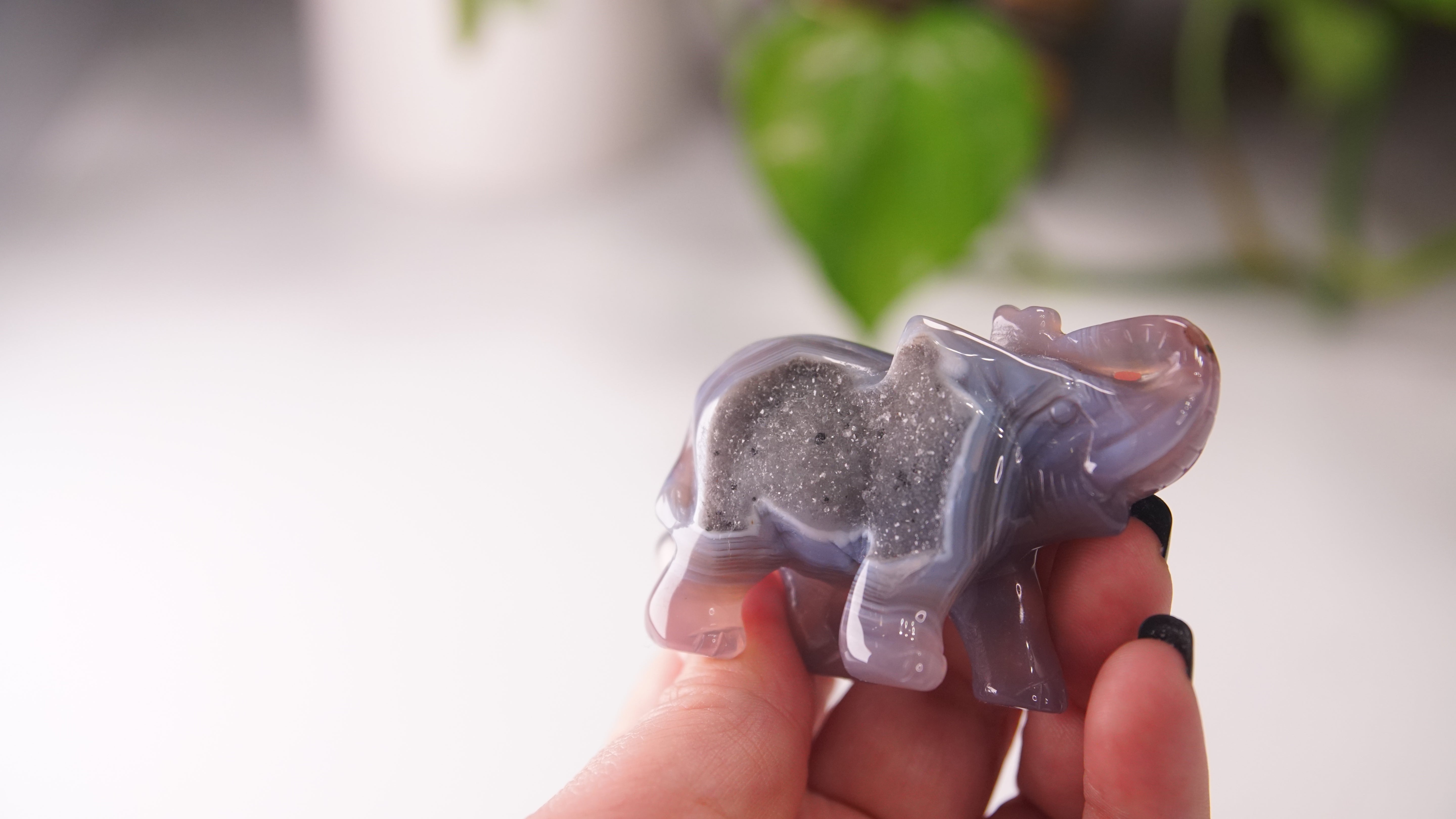 Druzy Agate Hand Carved Elephant Carving | Crystal Carving Statement Piece