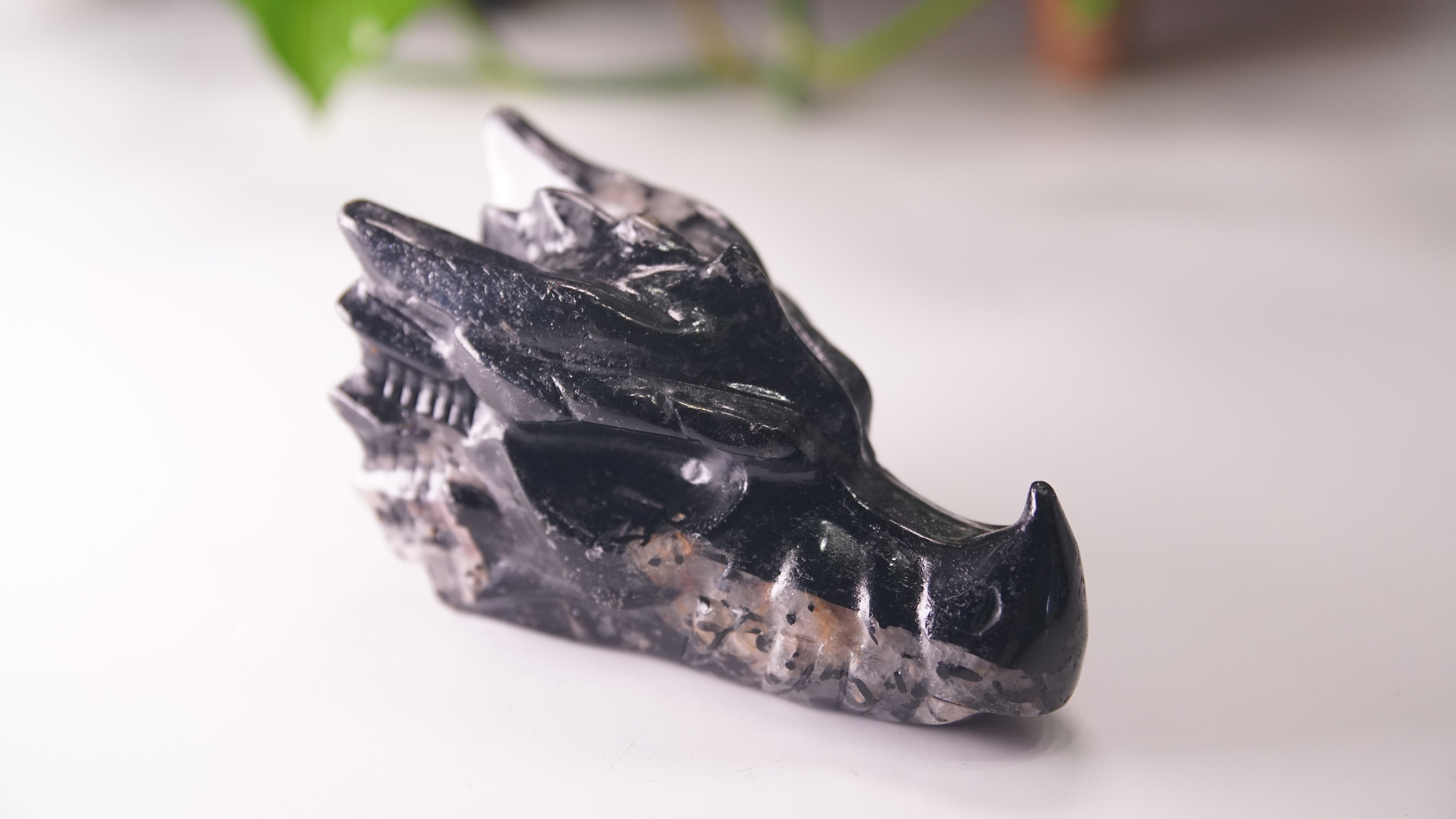 Gorgeous Black Tourmaline In Quartz Dragon Skull