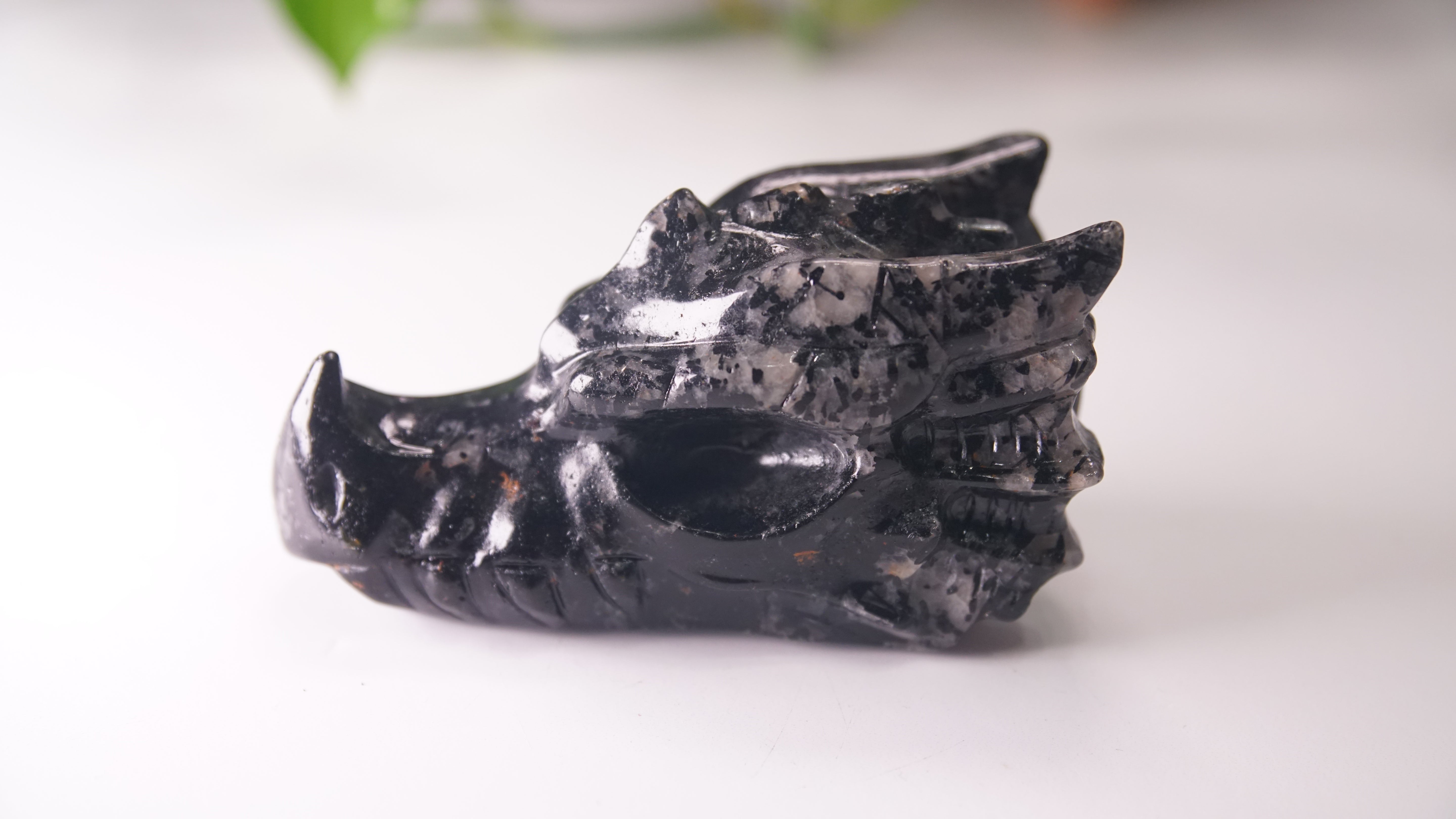 Gorgeous Black Tourmaline In Quartz Dragon Skull