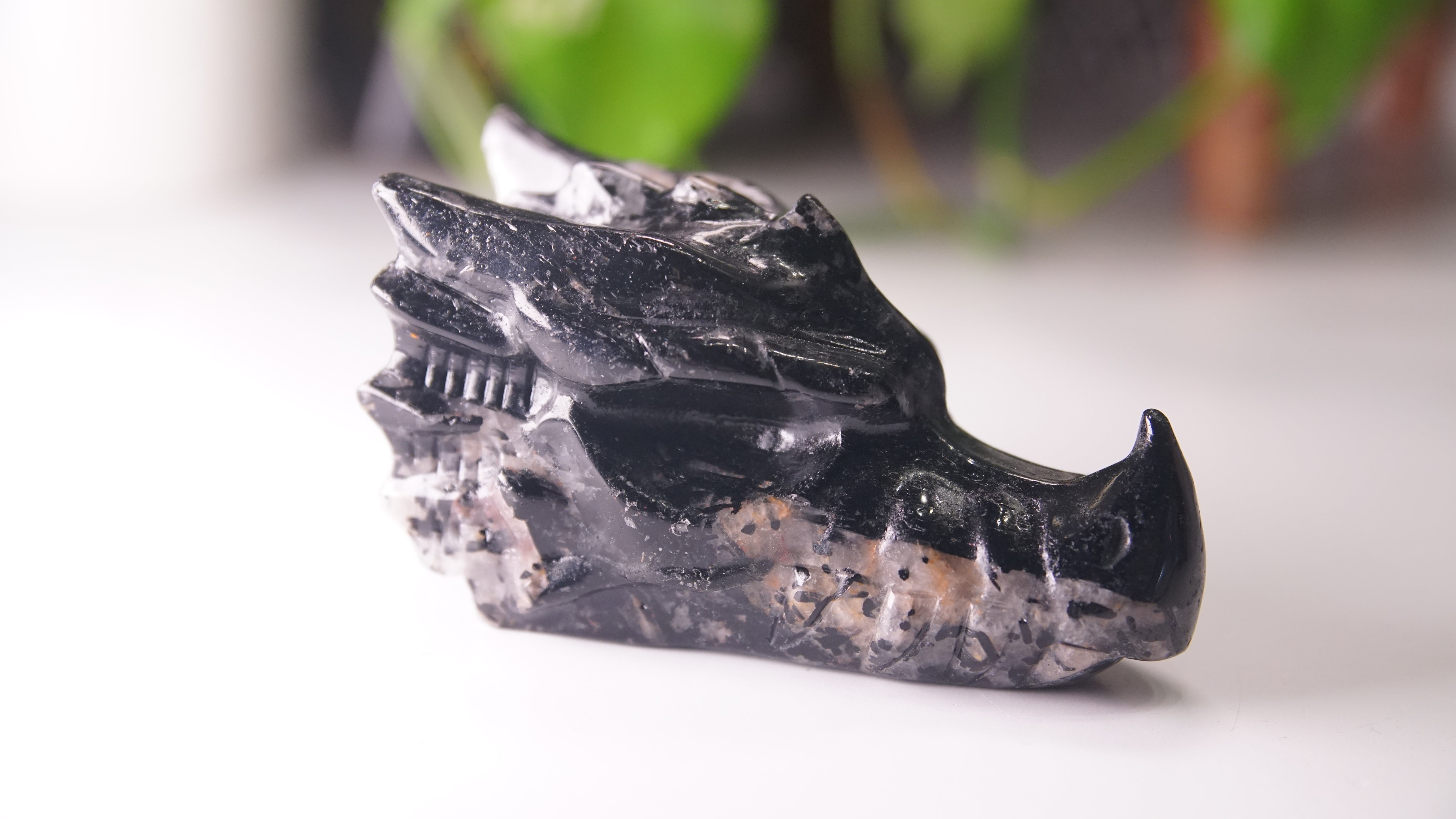 Gorgeous Black Tourmaline In Quartz Dragon Skull