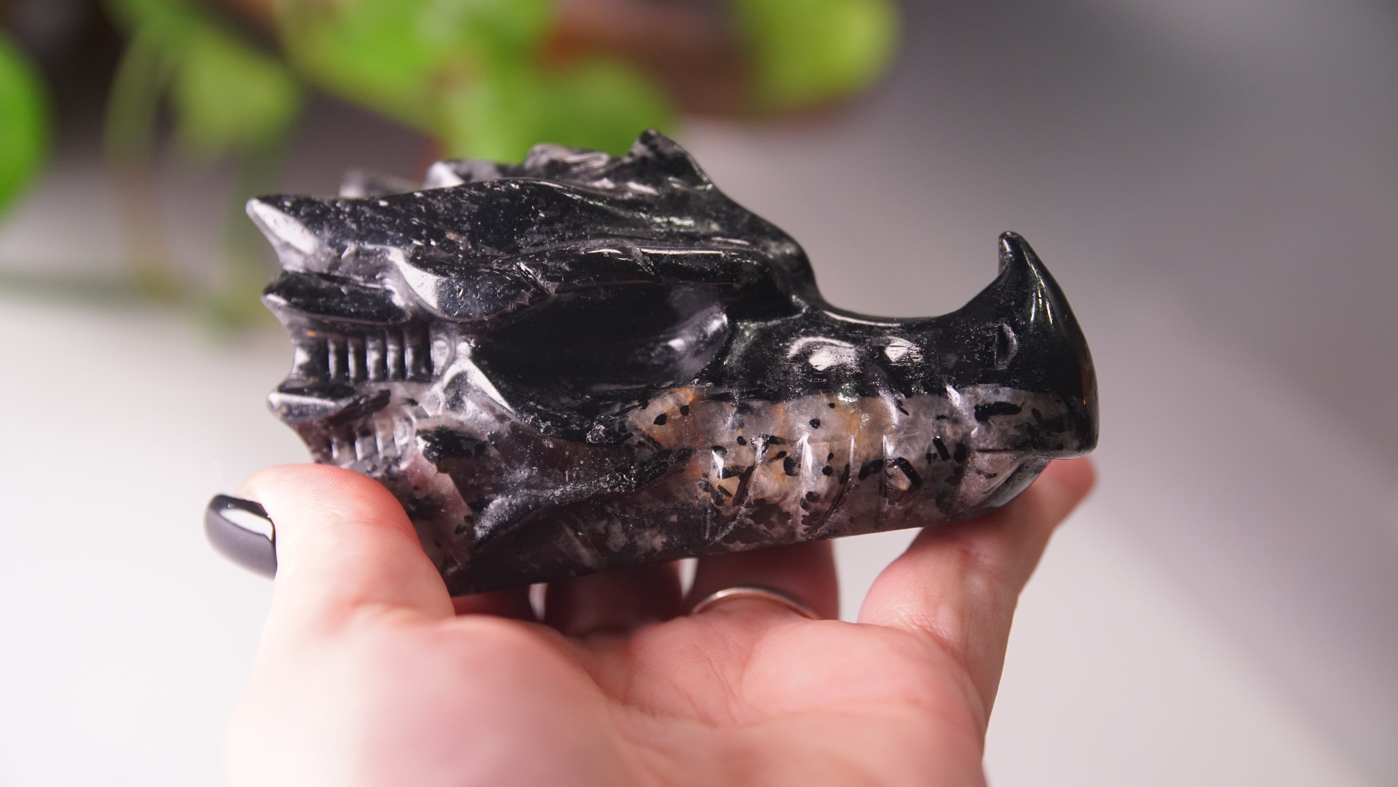Gorgeous Black Tourmaline In Quartz Dragon Skull