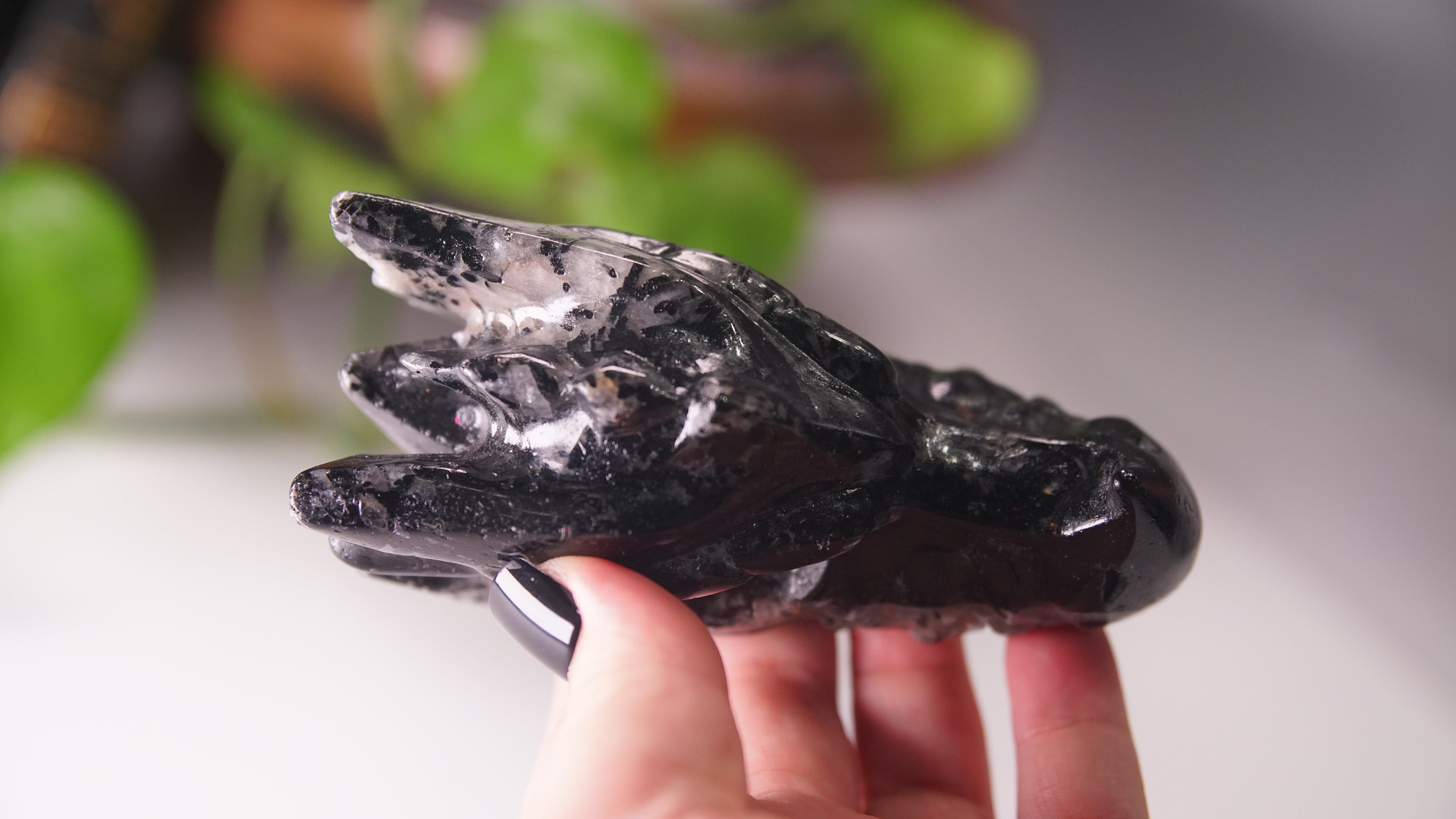Gorgeous Black Tourmaline In Quartz Dragon Skull