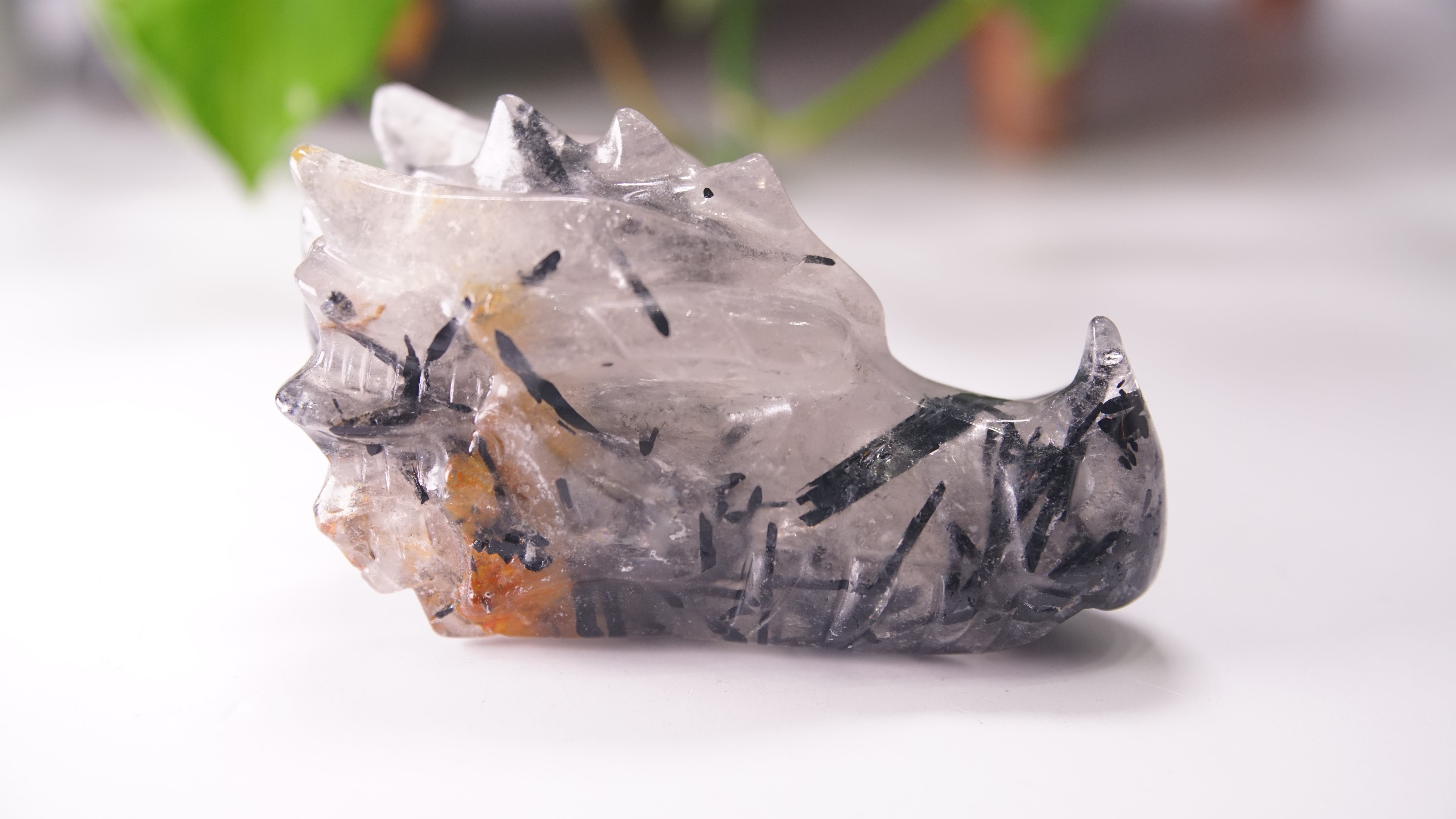 Gorgeous Black Tourmaline In Quartz Dragon Skull